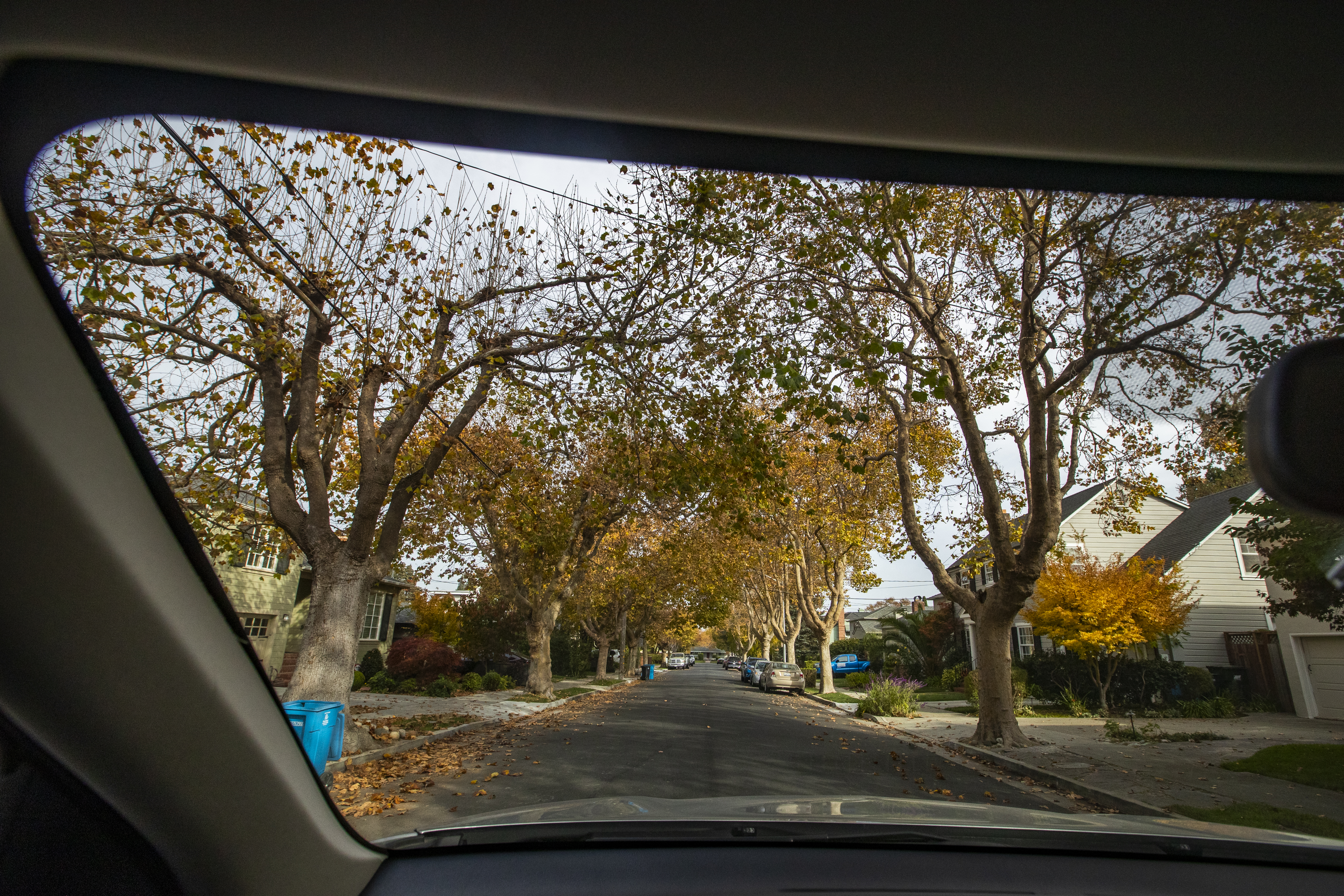 The tree-lined street Tom Brady grew up on — and where his family still lives.