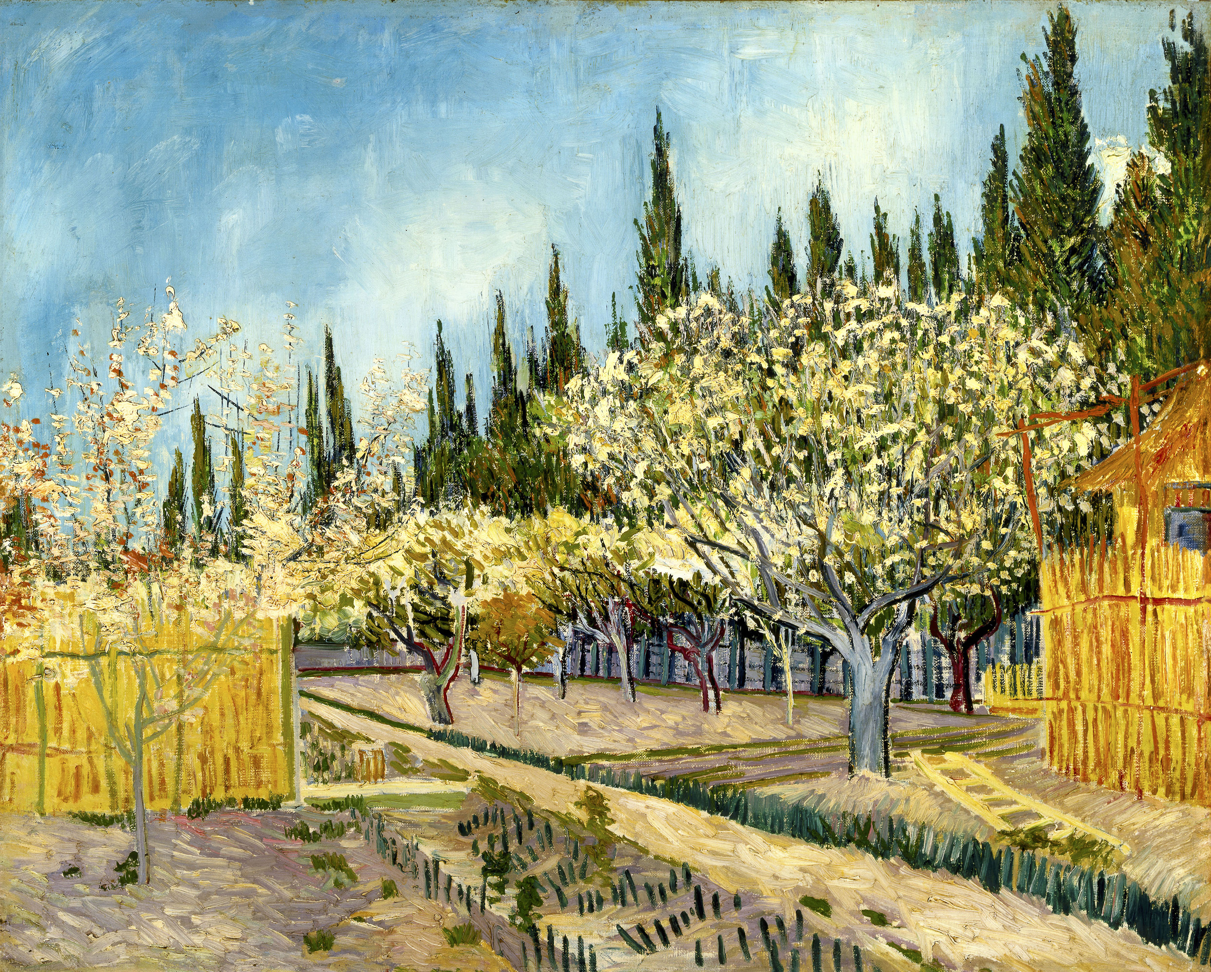From the " Van Gogh and Nature" exhibit at the Clark Art Institute, Vincent van Gogh’s “Orchard Bordered by Cypresses.”