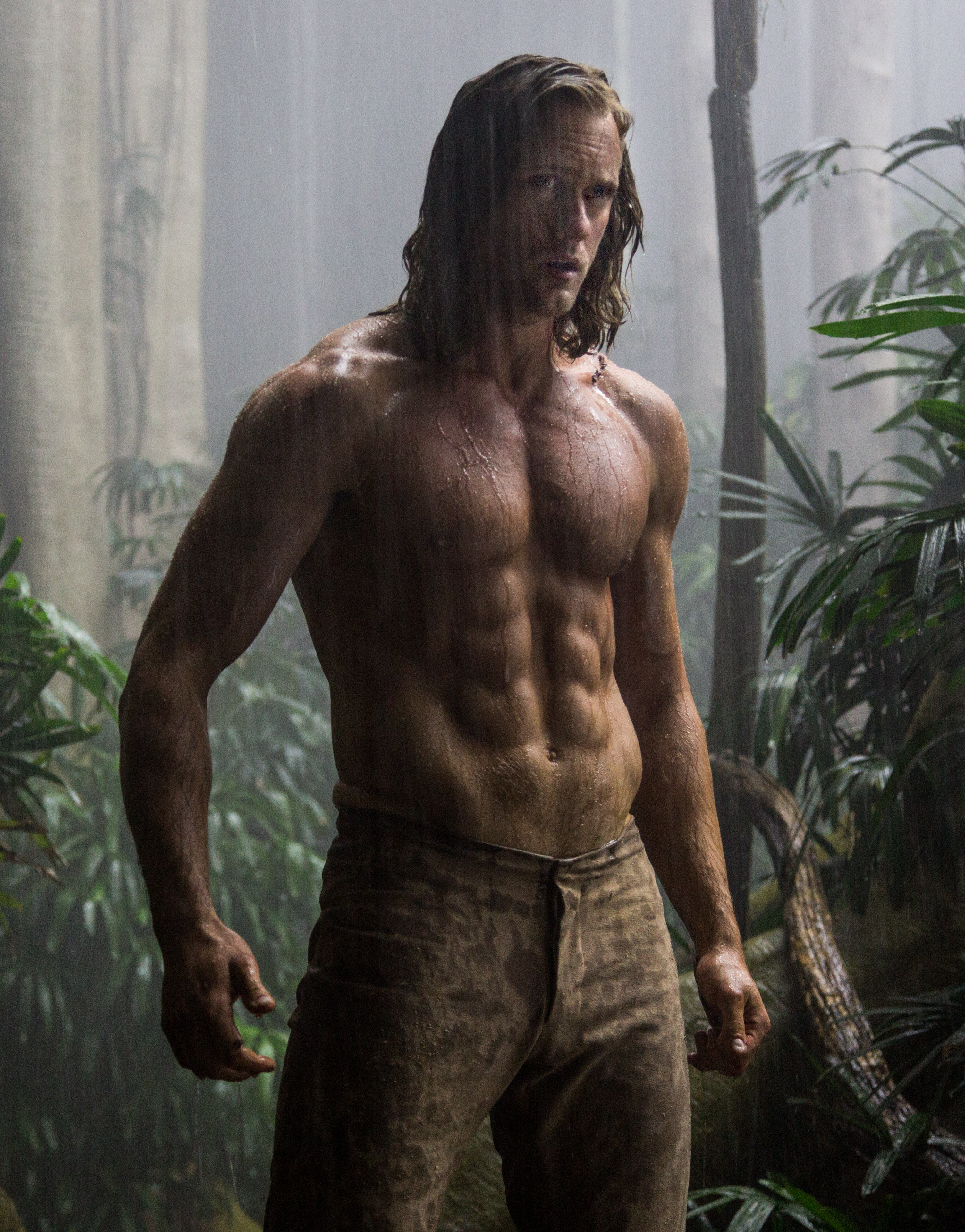 Pornotarzan