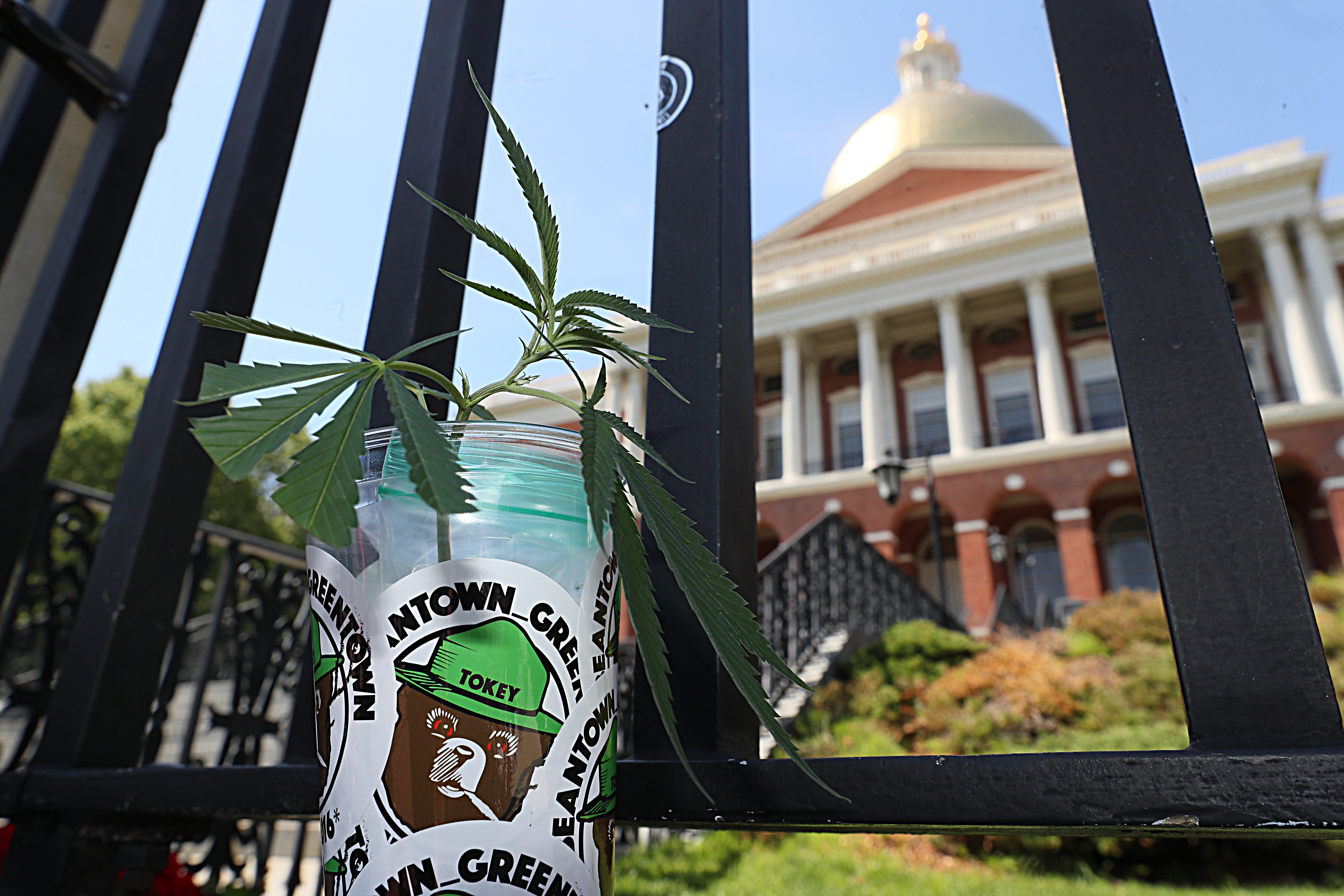 The rally was organized by the Cannabis Community Care and Research Network in response to a public health group’s criticisms of the state’s newly regulated marijuana industry.