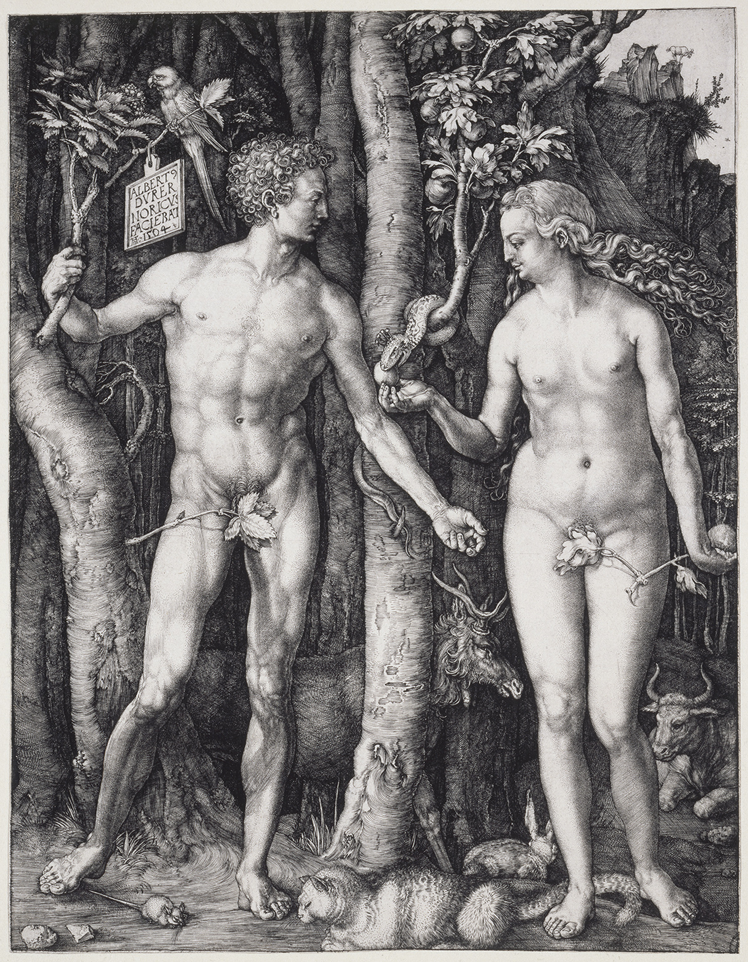 An engraving from The Strange World of Albrecht Dürer, Adam and Eve, 1504