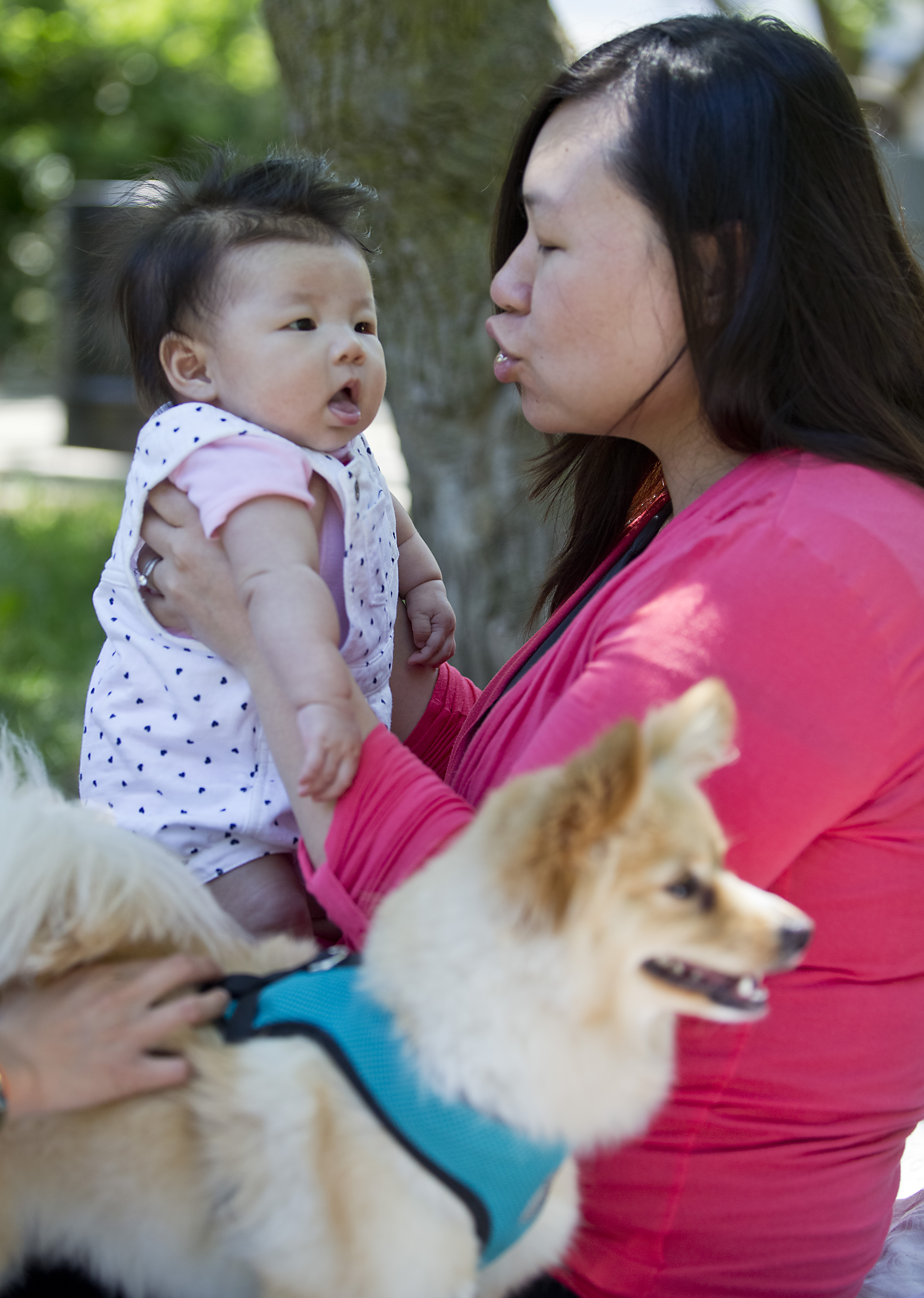 Shanie Leung attended the picnic with her daughter, Karina Chang, 3 months old, and their dog, Matcha.