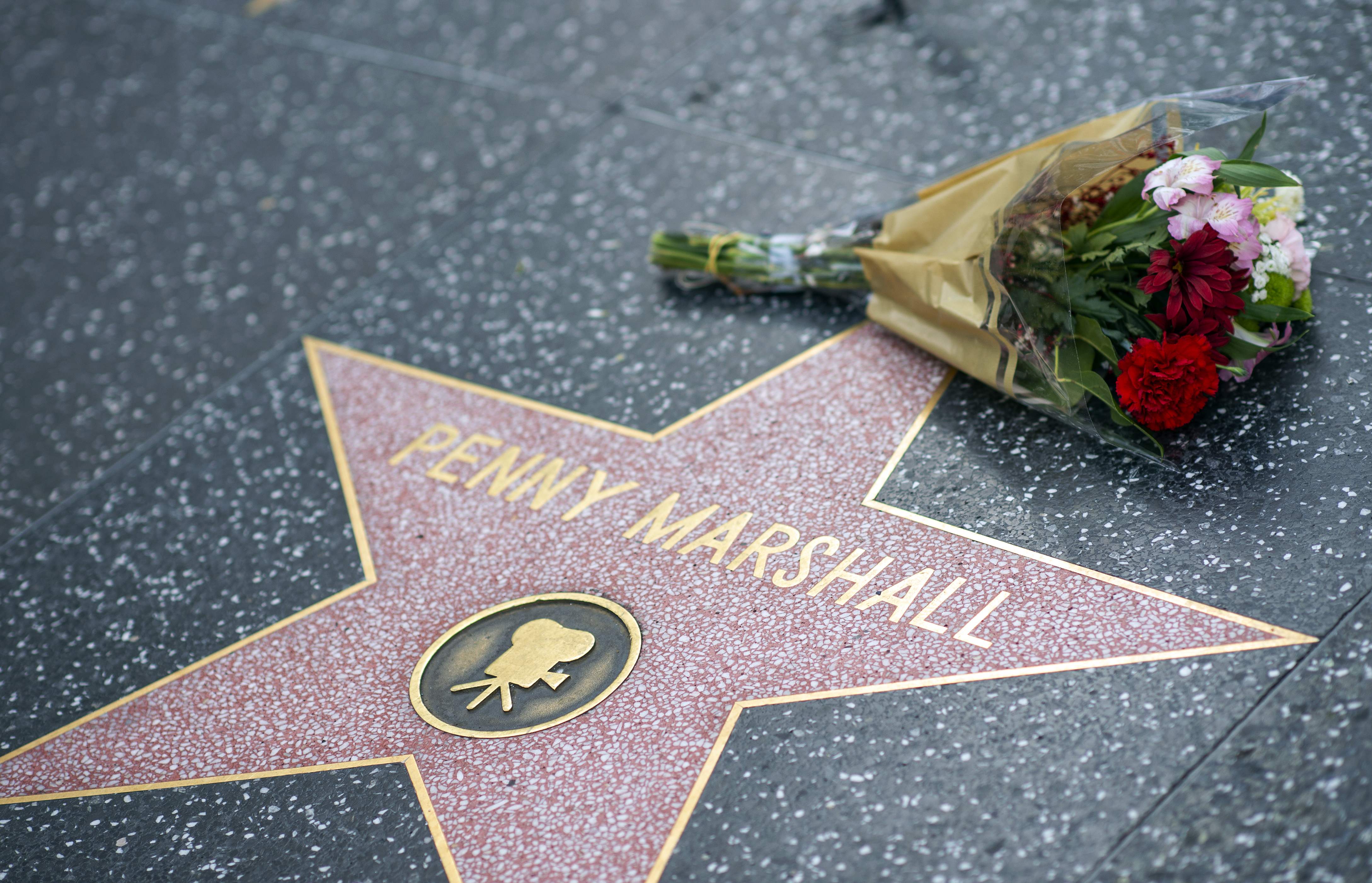 Fans left tributes on Penny Marshall's star on the Hollywood Walk of Fame shortly after the news that Tuesday that Marshall had died at 75.