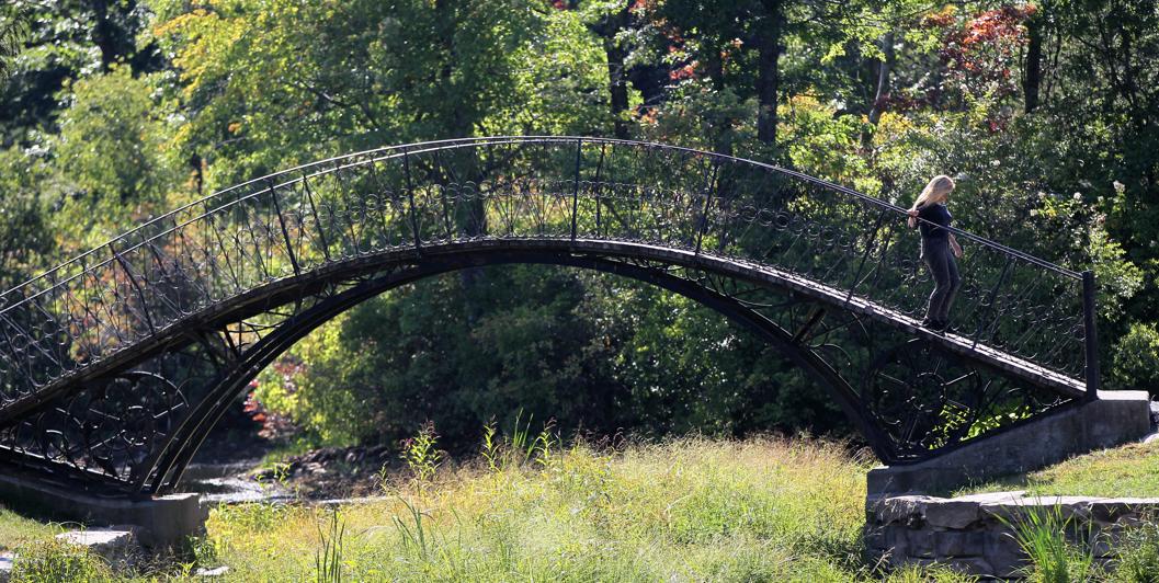 Bridge in Elm Park.