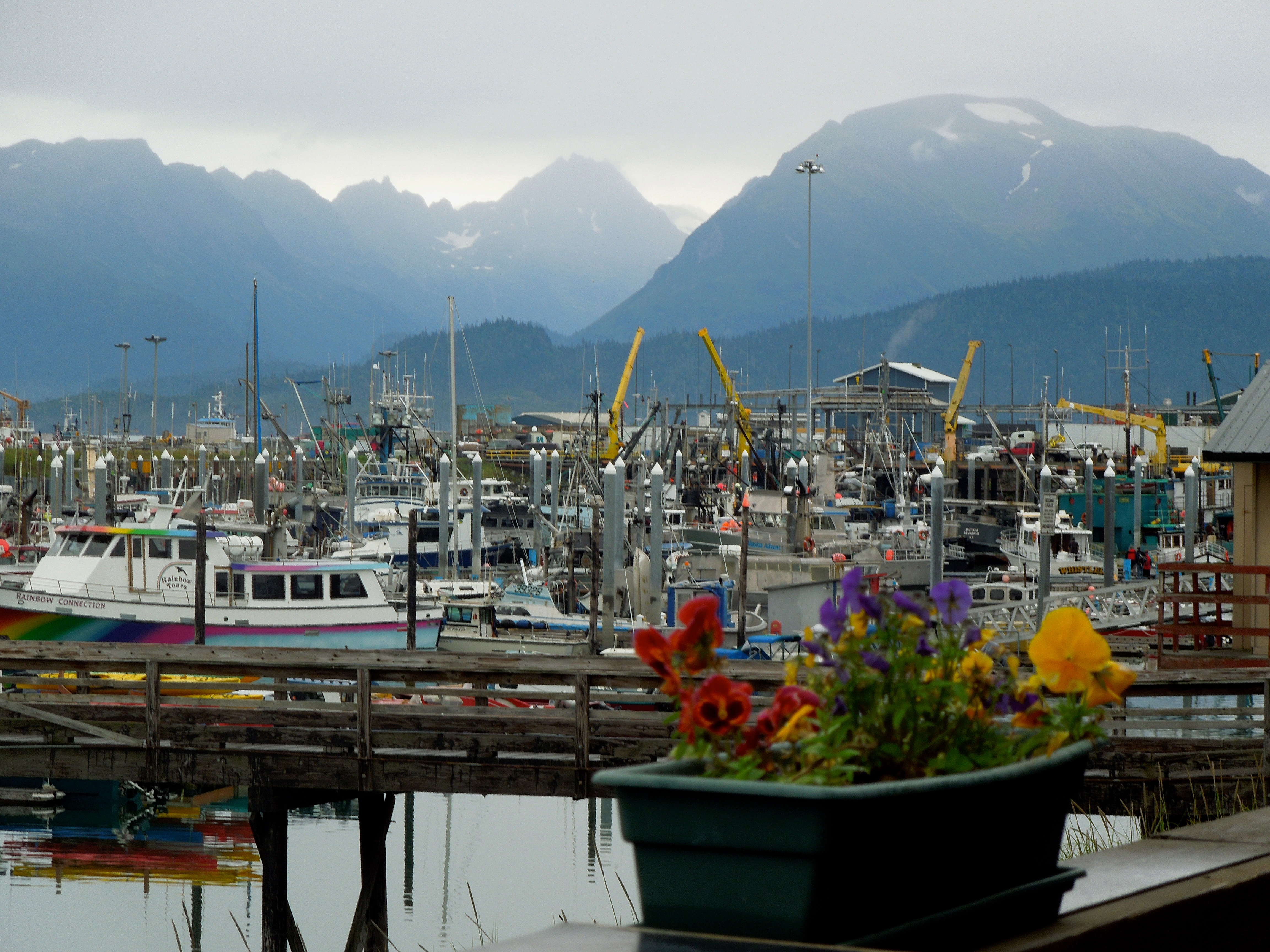 The view from the docks of fishing boats in Valdez, Alaska.