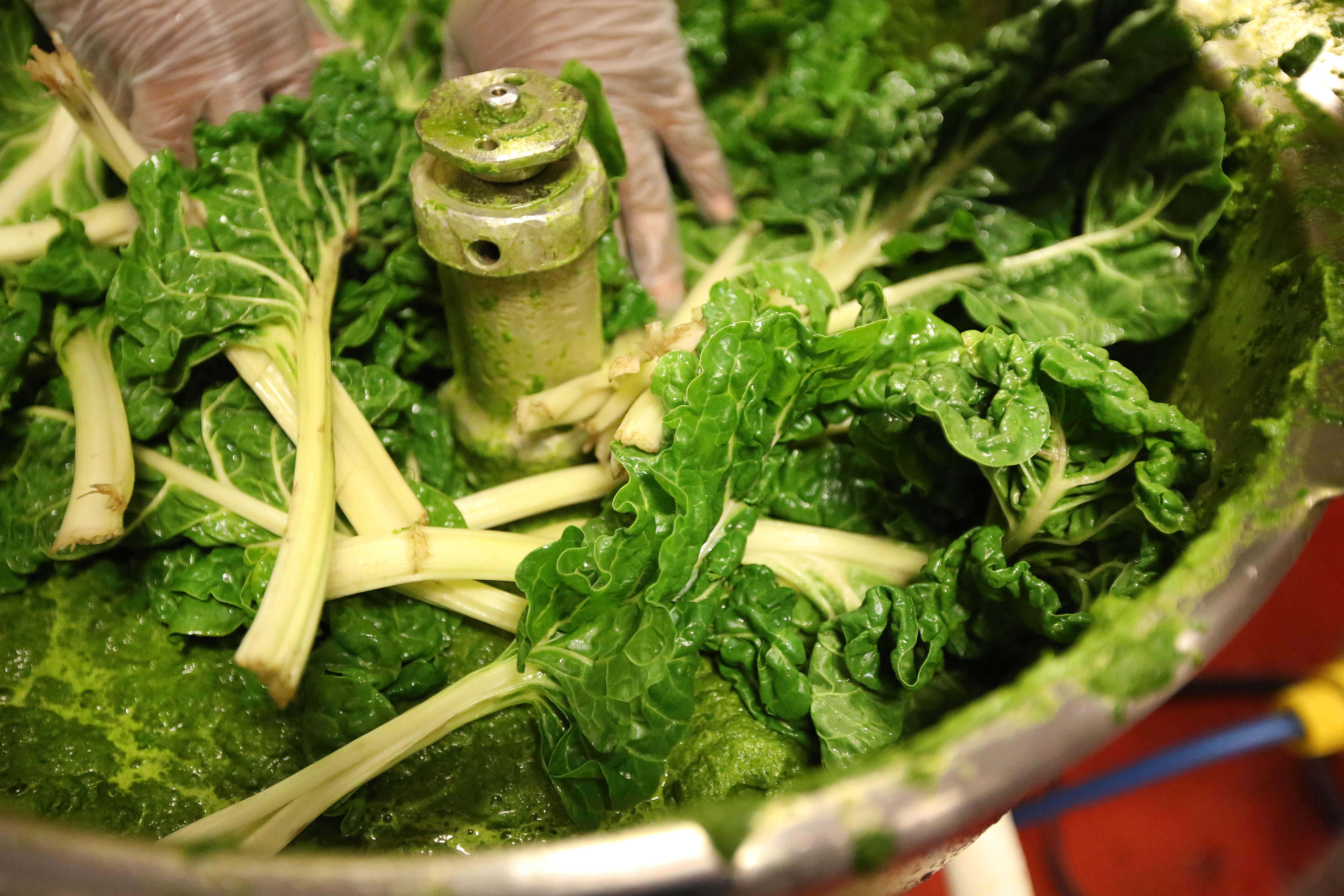 Swiss chard to make Greenya Colada.