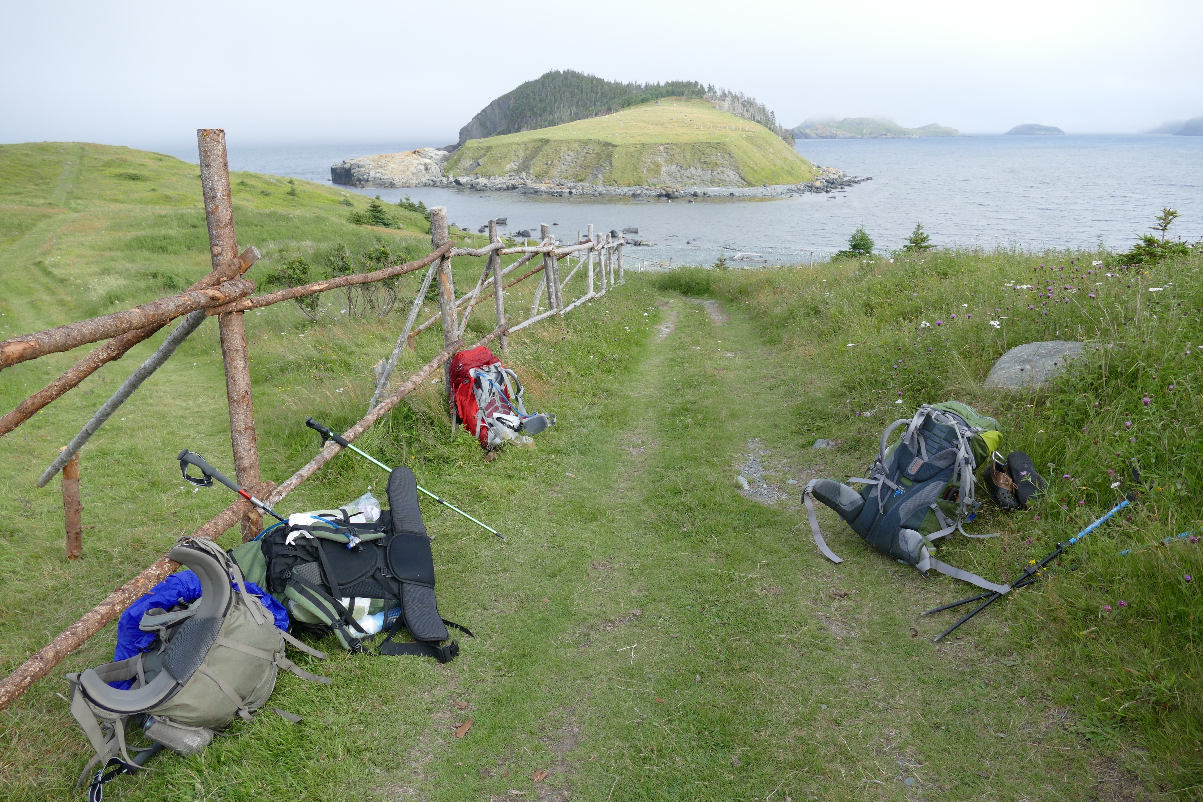 The view at Tor’s Cove.