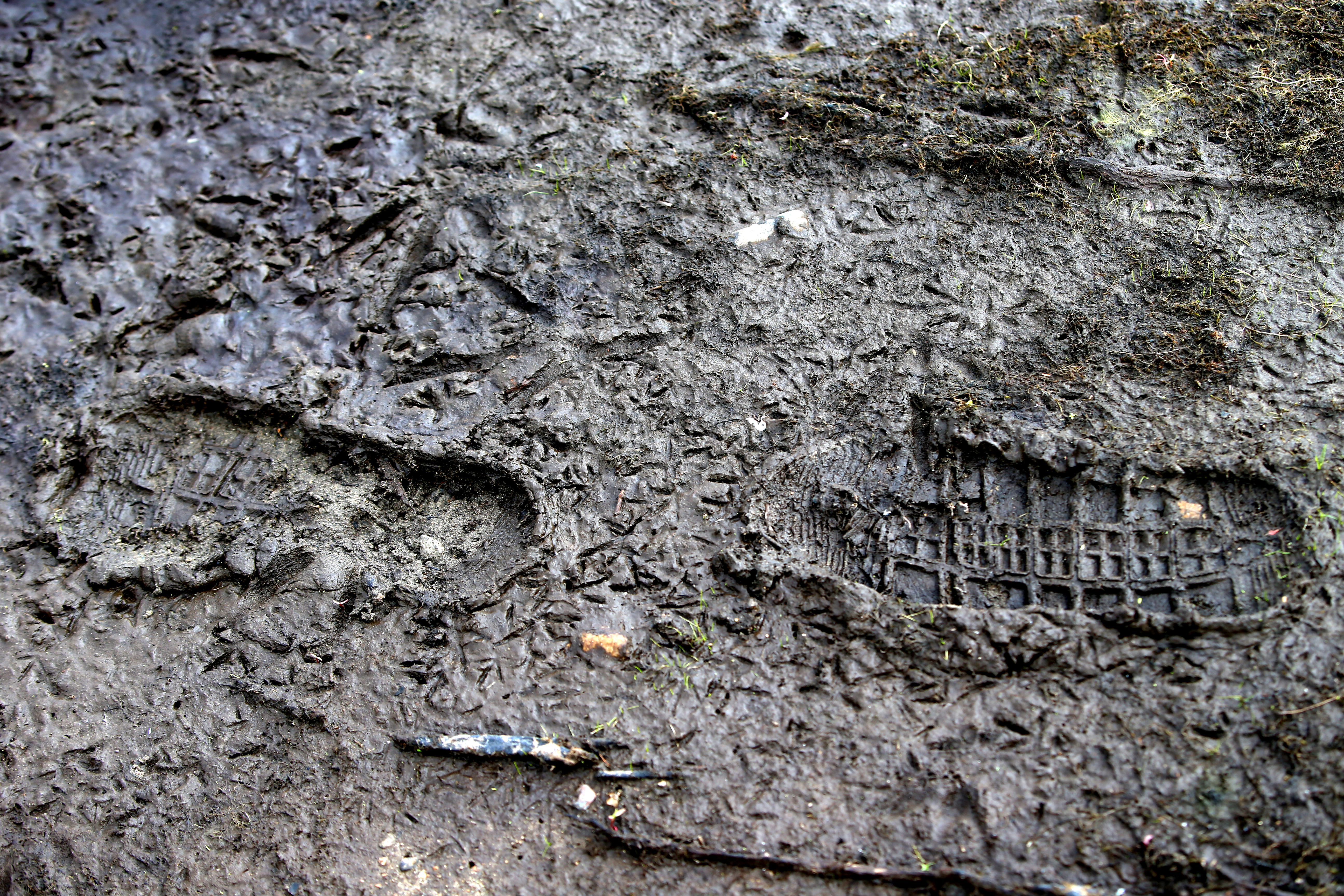 Footprints were visible in the mud at the Scituate town reservoir.