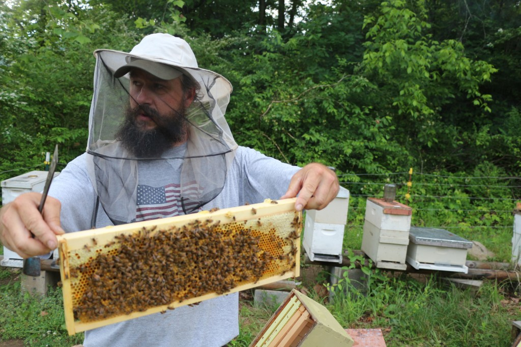 Jon Christie of Wild Mountain Apiaries in Asheville, N.C.