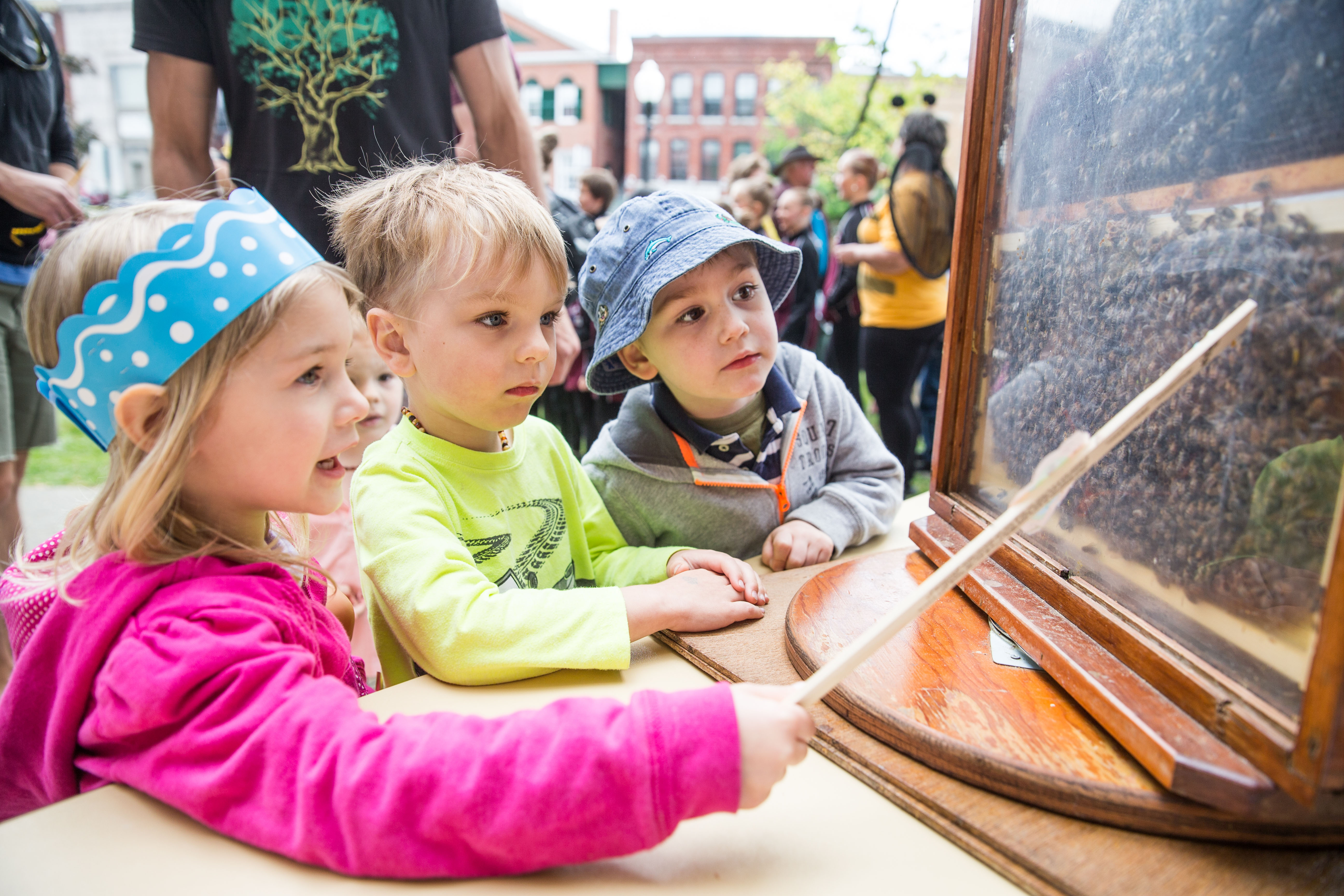 From left: Four-year-olds Esme Sautter, Oliver Audet, and Conor O’Connell tried to find the queen in a hive at the Langstroth Bee Fest.