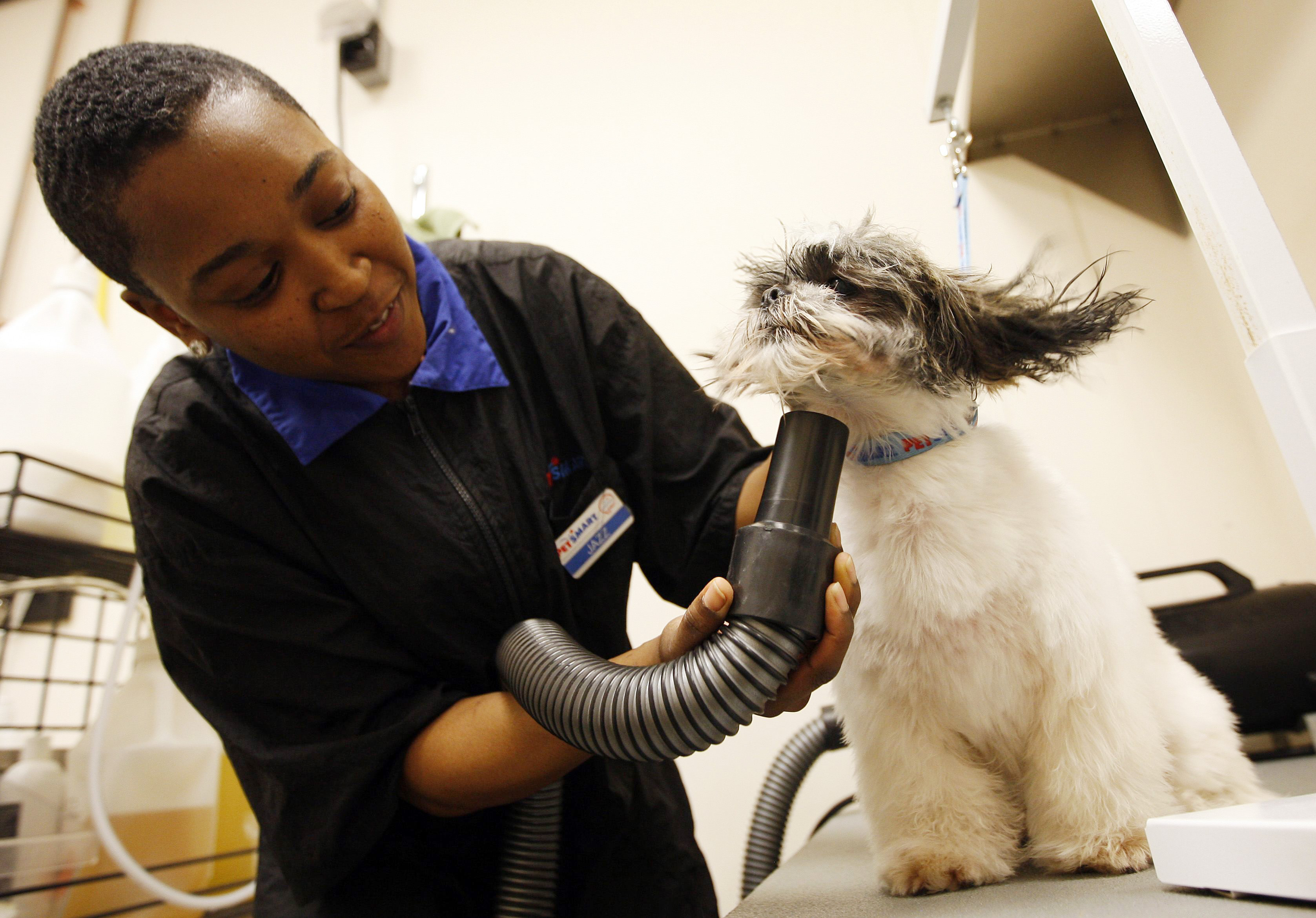 Petsmart Job Openings - 1t3zjkp