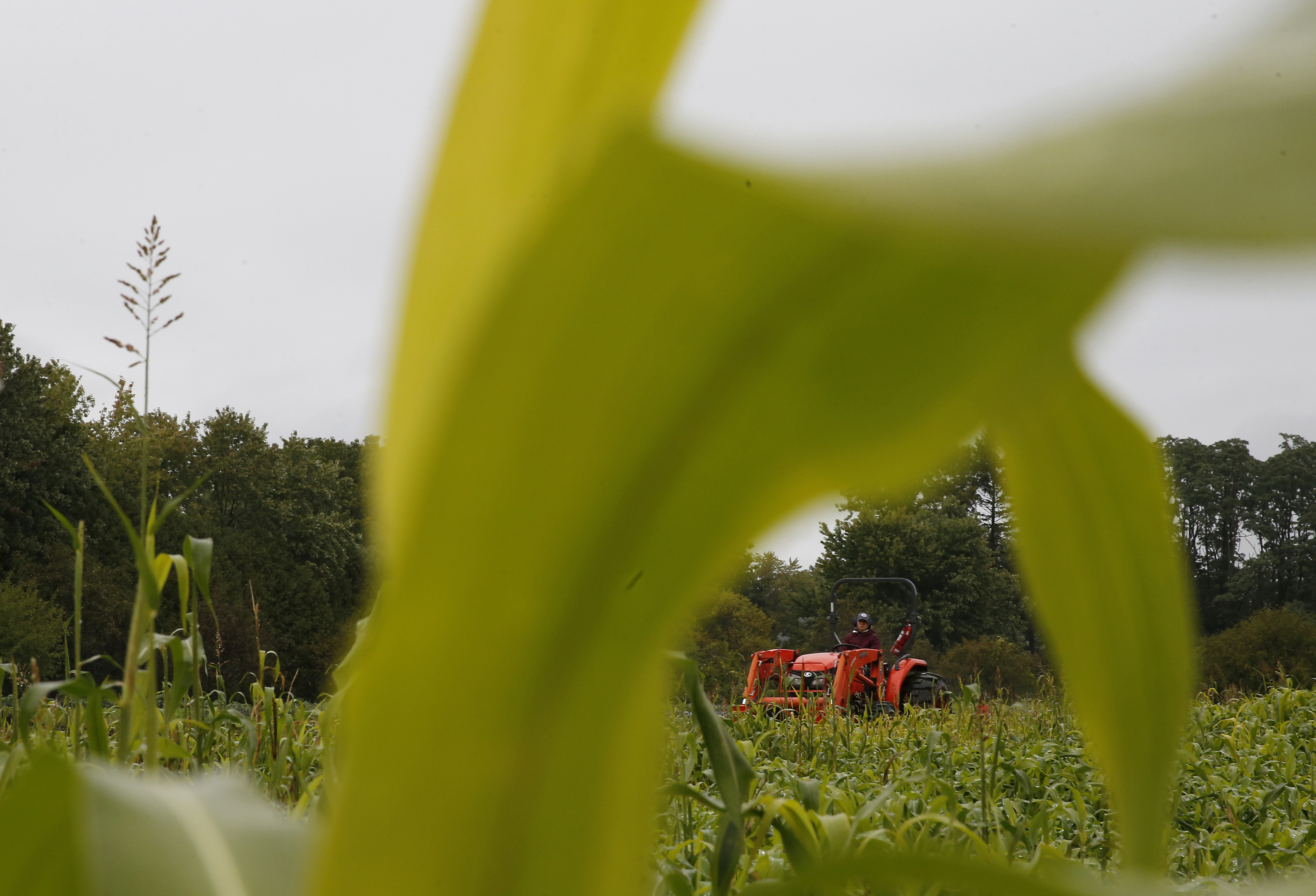 A student used a tractor to plow a field at UVM's farmer-training program.