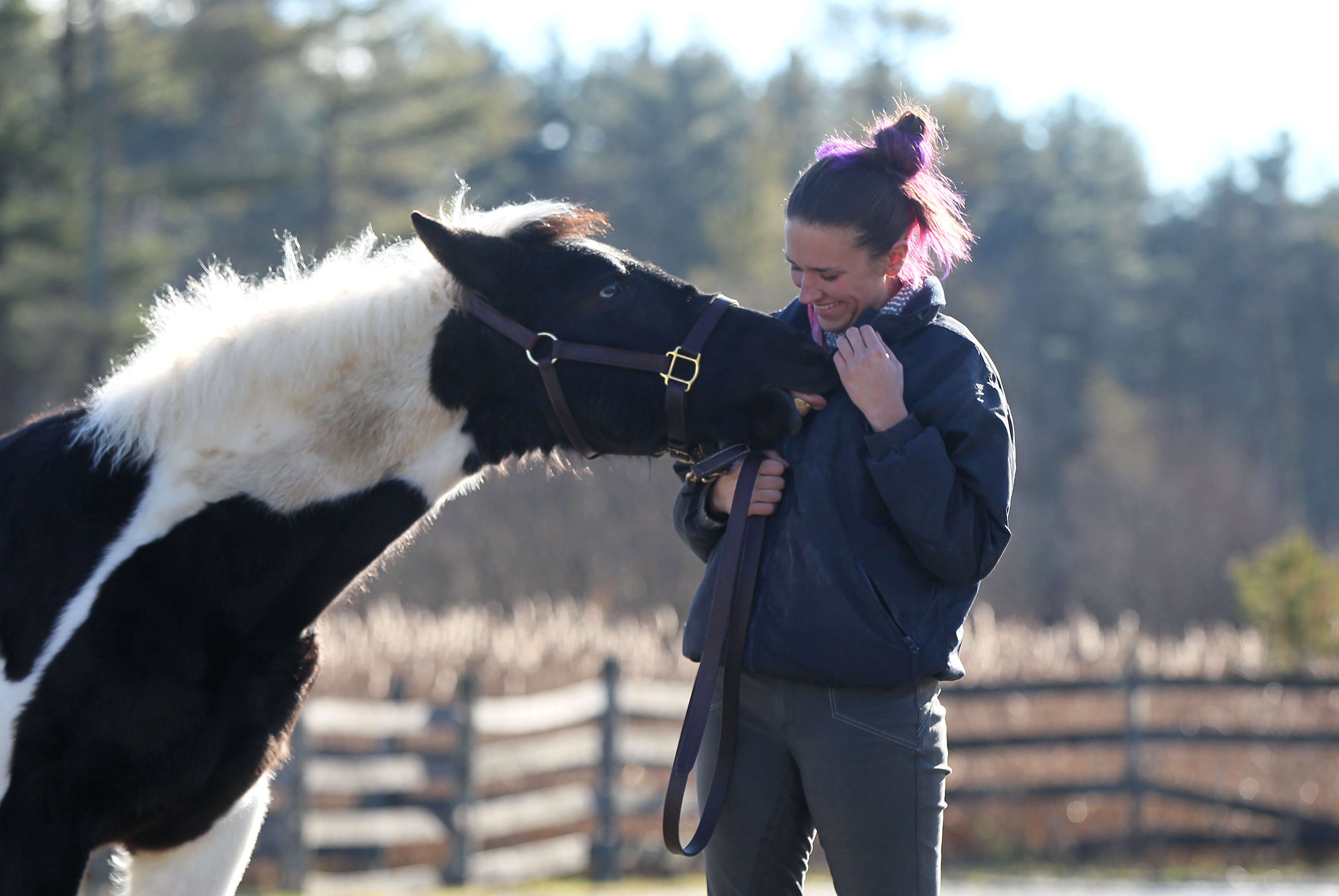 Sarah Muntyan played with Violet, a Premarin rescue foal.
