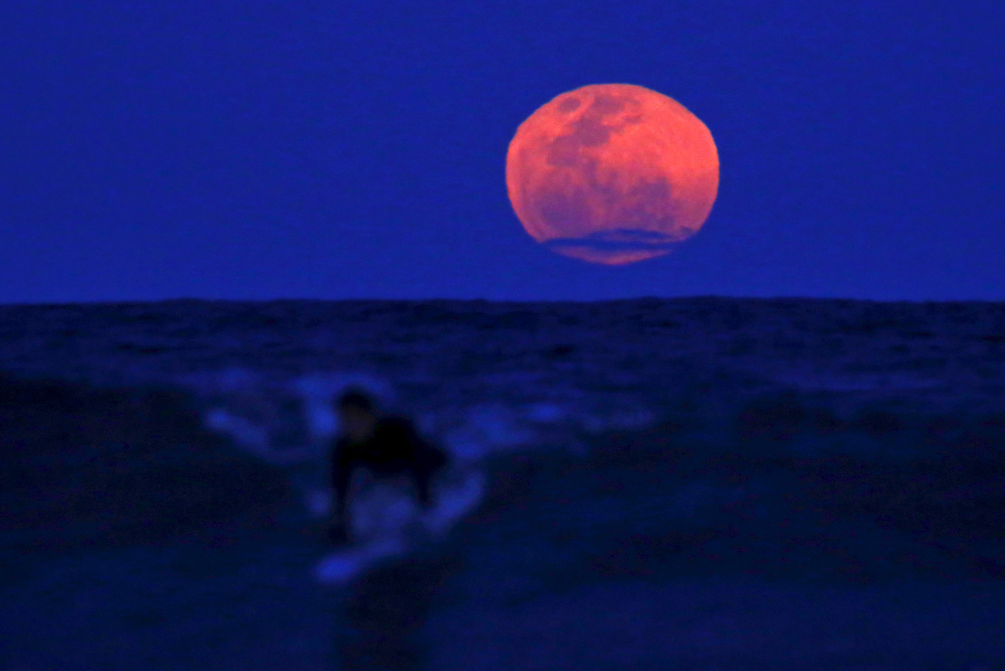 A surfer caught a wave as the supermoon rose off Manly Beach in Sydney, Australia.