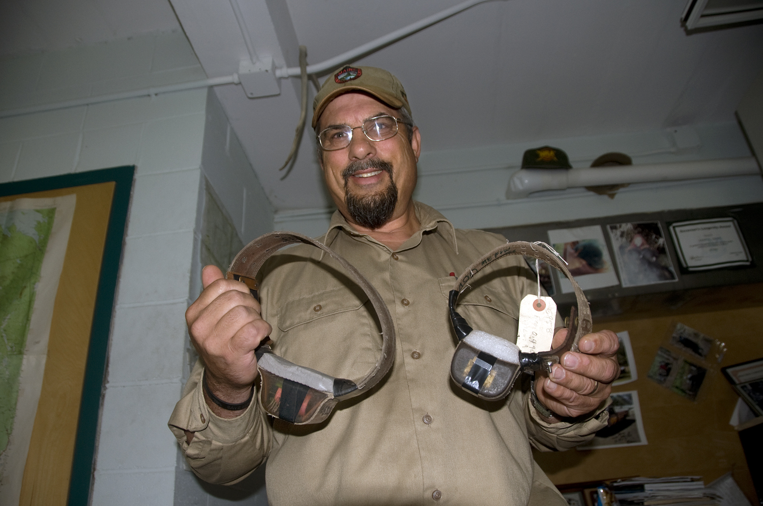 Maine’s state bear biologist Randy Cross has been studying bears in the state for over three decades.