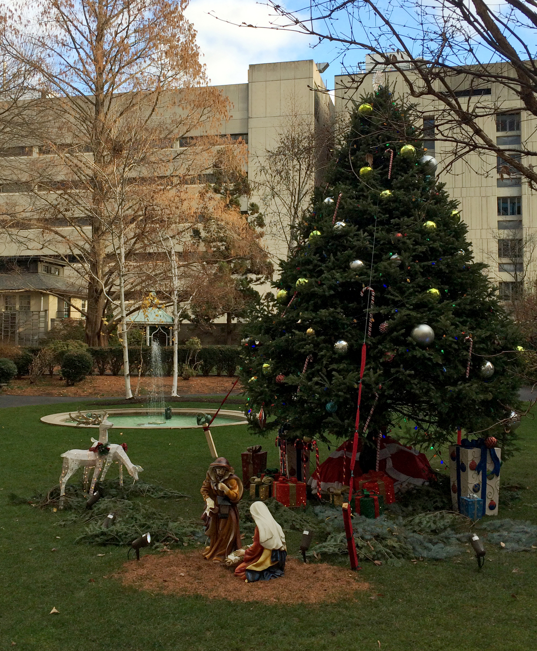 Prouty Garden at Boston Children’s Hospital.