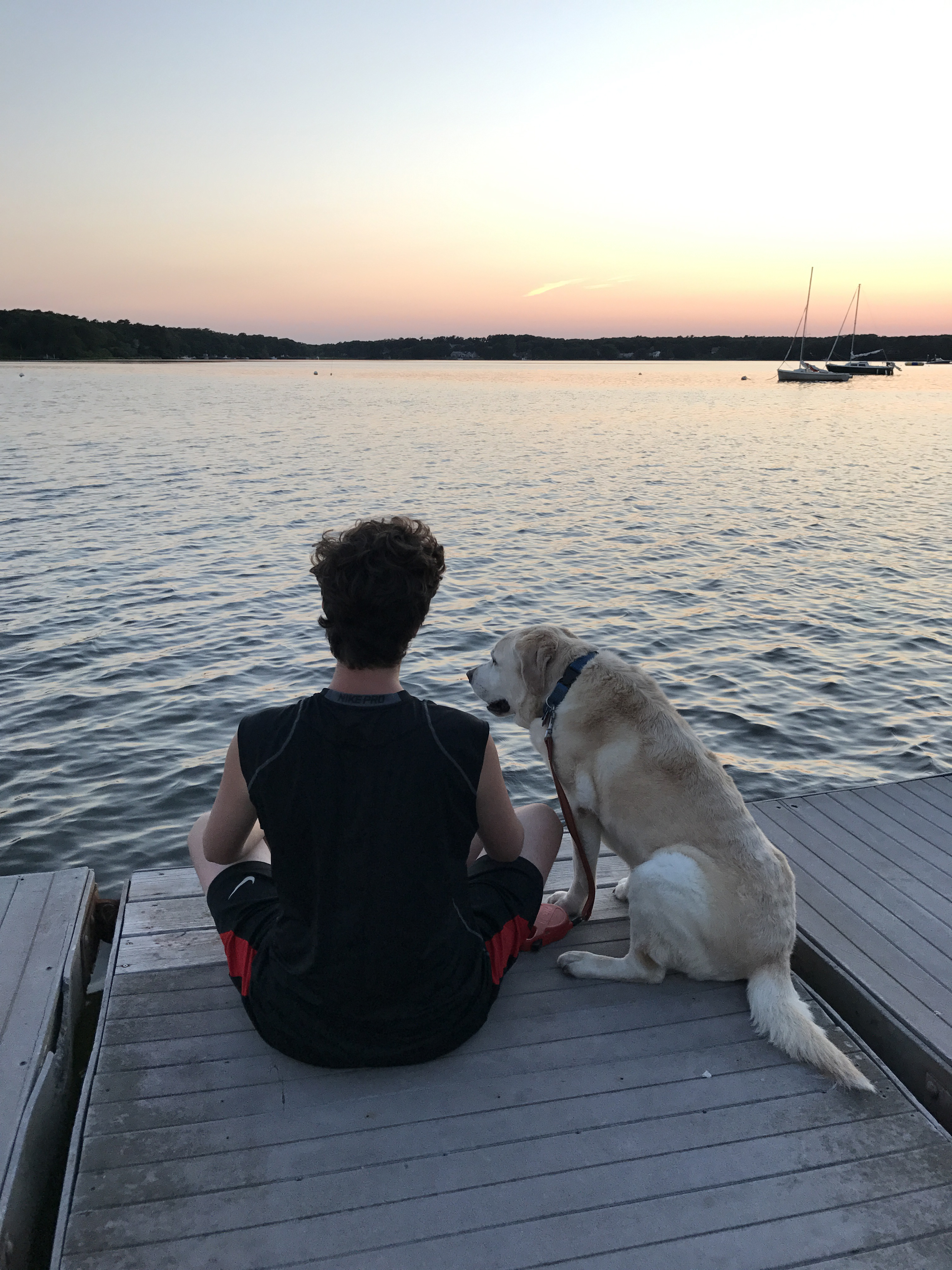Gabe The Dog Time To Say Goodbye