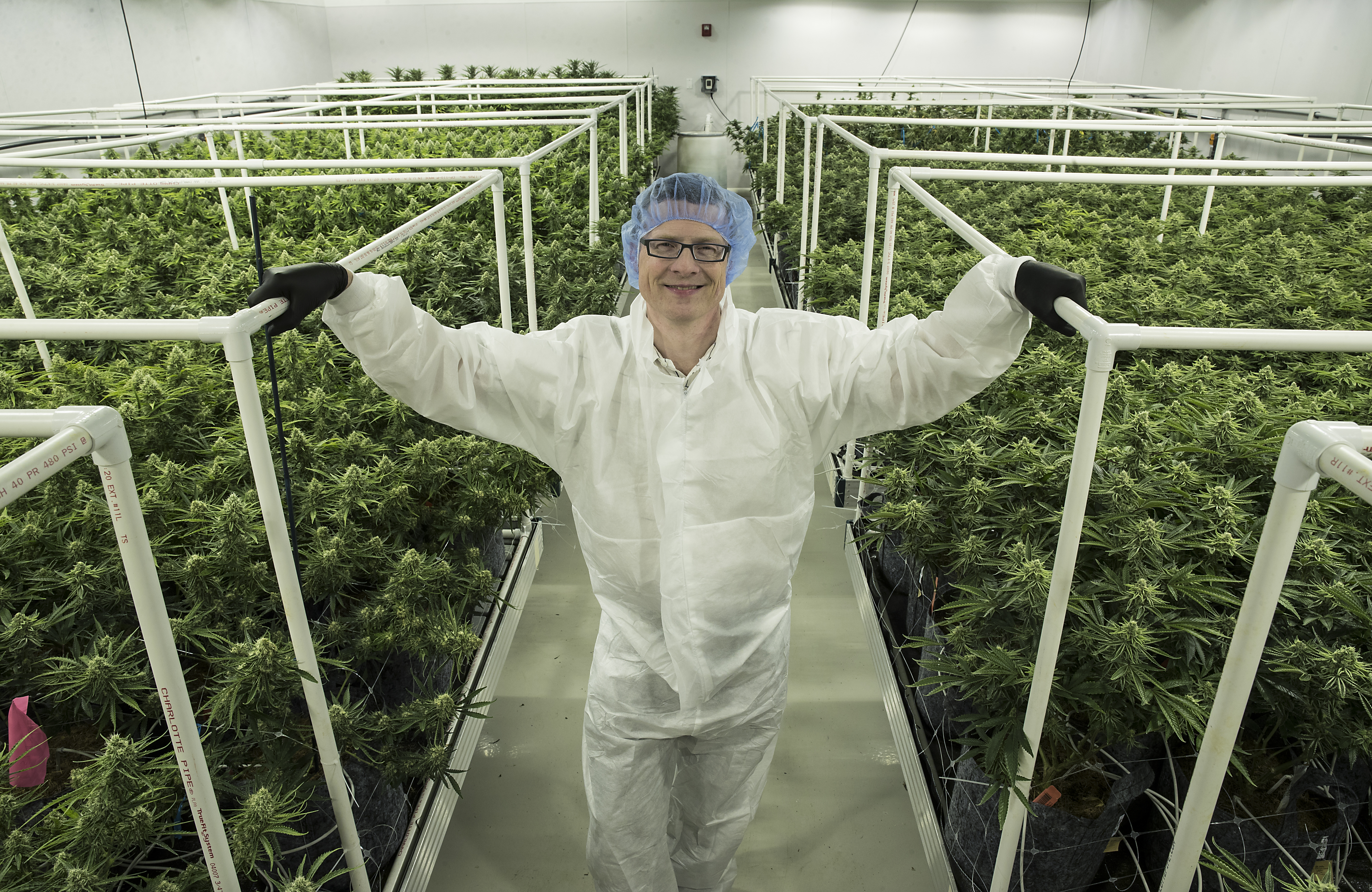 Mike Dundas, CEO of Sira Naturals, a marijuana cultivation facility that may be the first in Massachusetts to receive a state recreational license in one of their grow rooms. (photo by Matthew J. Lee/Globe staff)