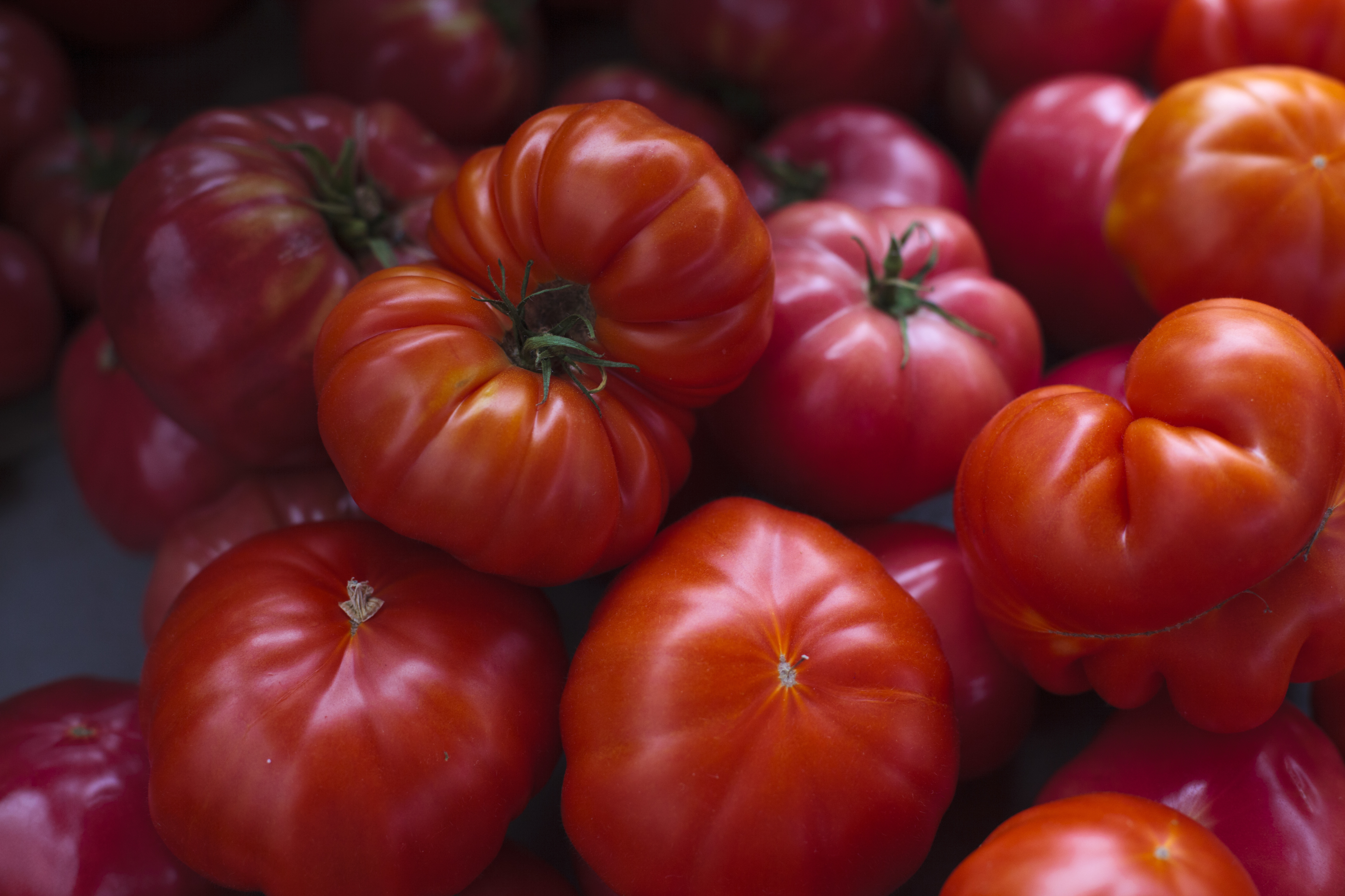 There is nothing like a fresh tomato.