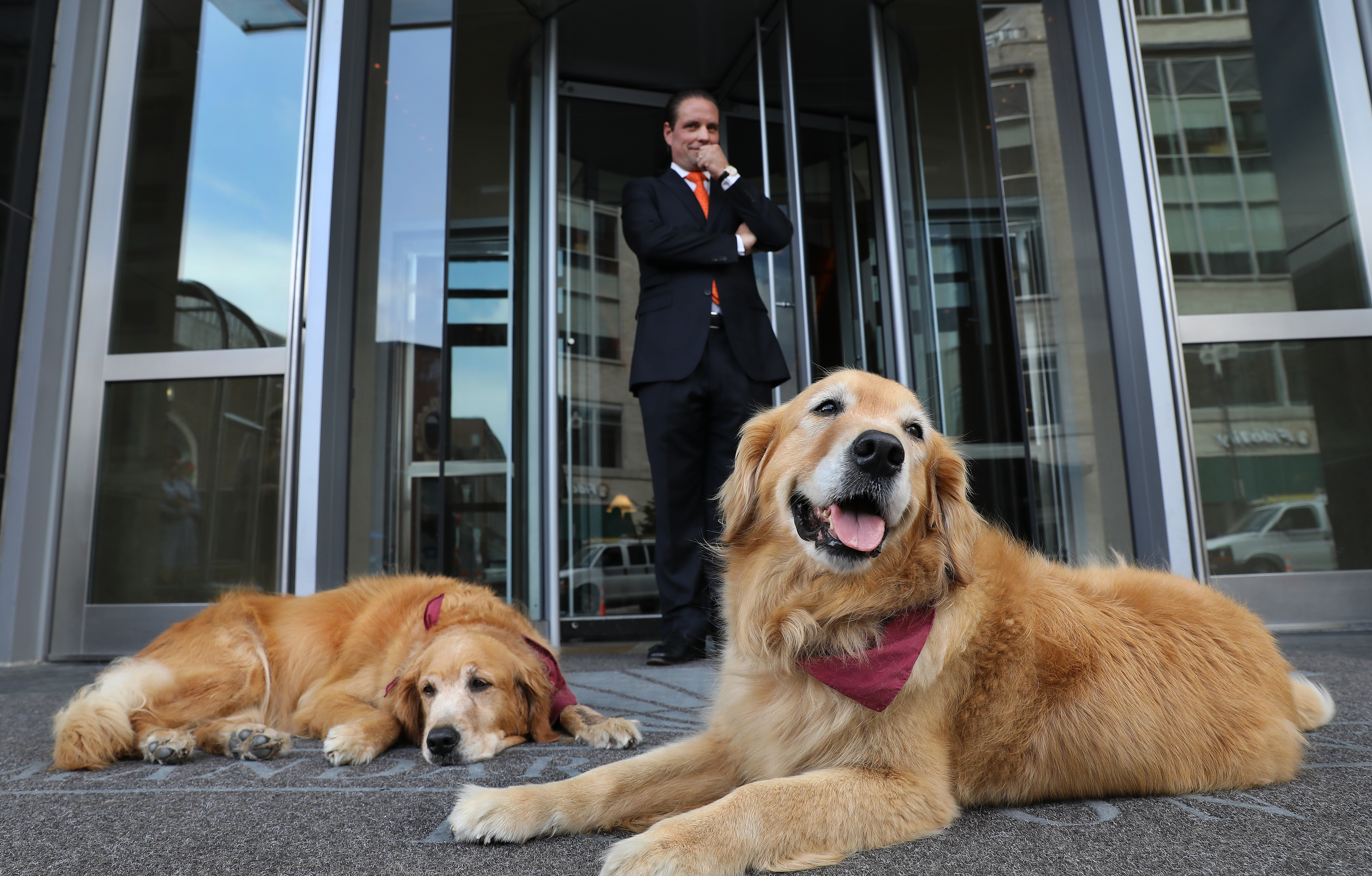 At work with Mandarin Oriental general manager Philipp Knuepfer are his golden retrievers Bonnie, 11 (left) and Tara, 9. Knuepfer makes certain that hotel staff keep a pot of welcome tea hot and available in the lobby.