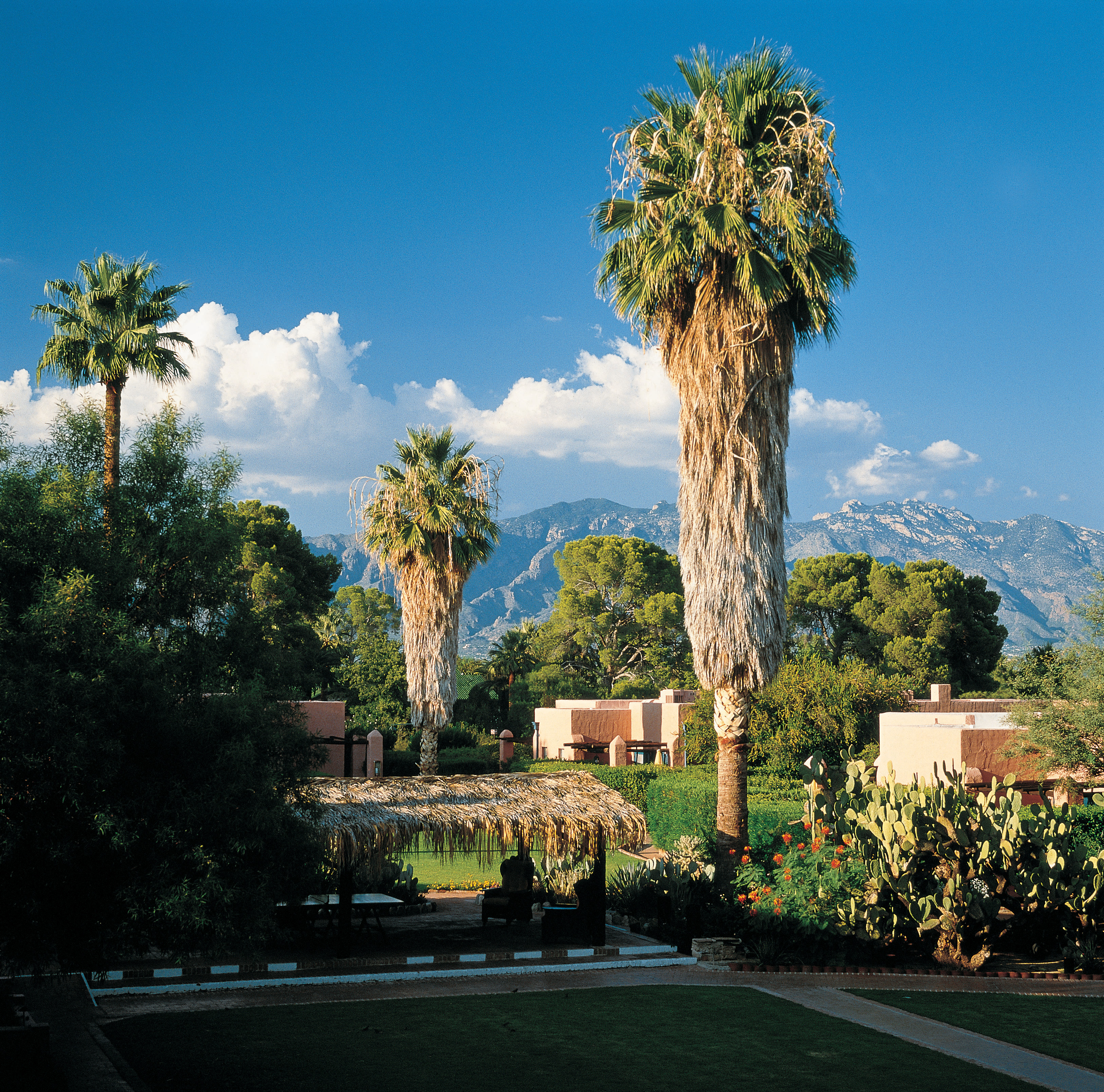 A view from the courtyard of the Arizona Inn.