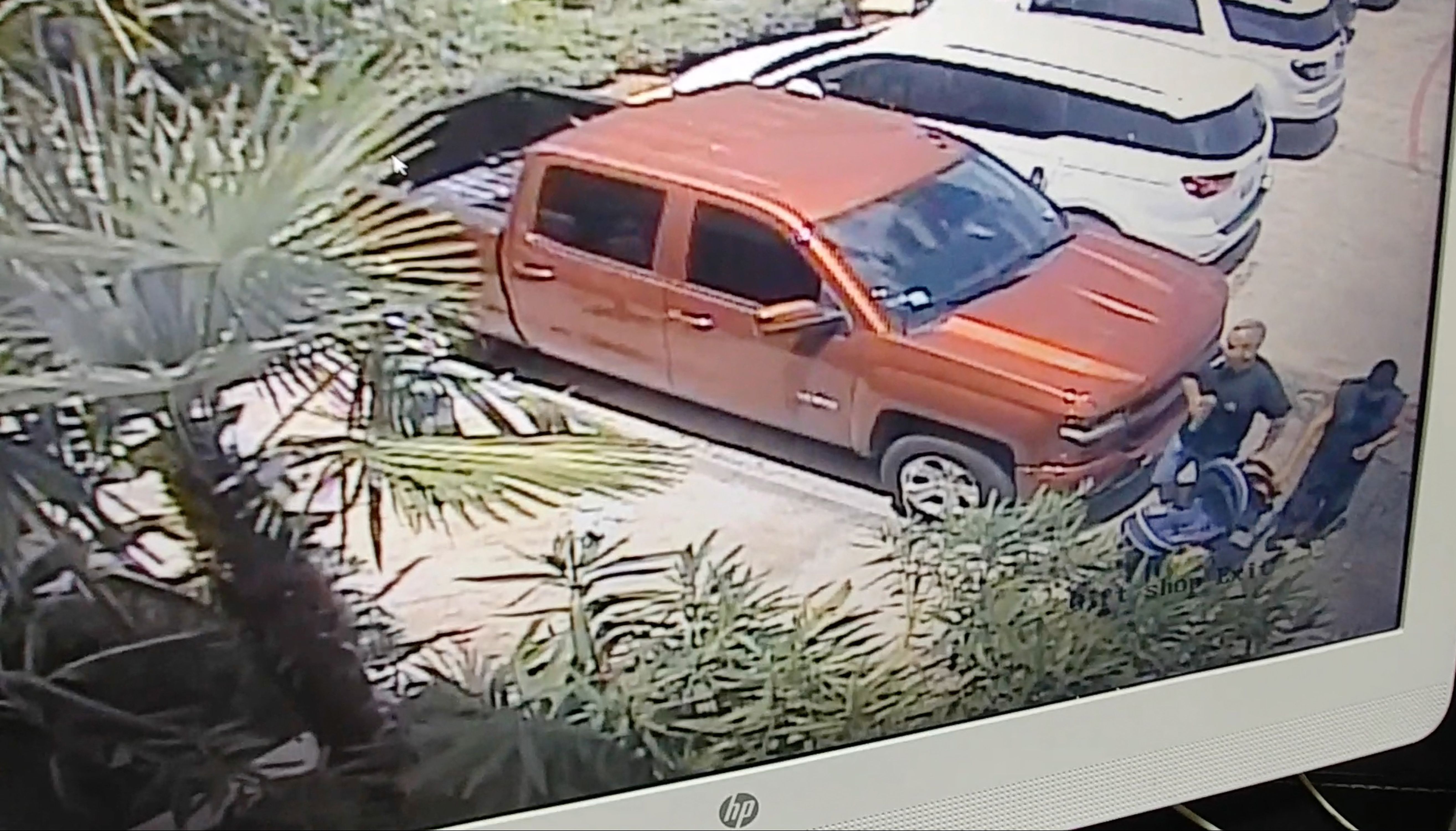 San Antonio Aquarium recovers shark stolen in baby stroller The