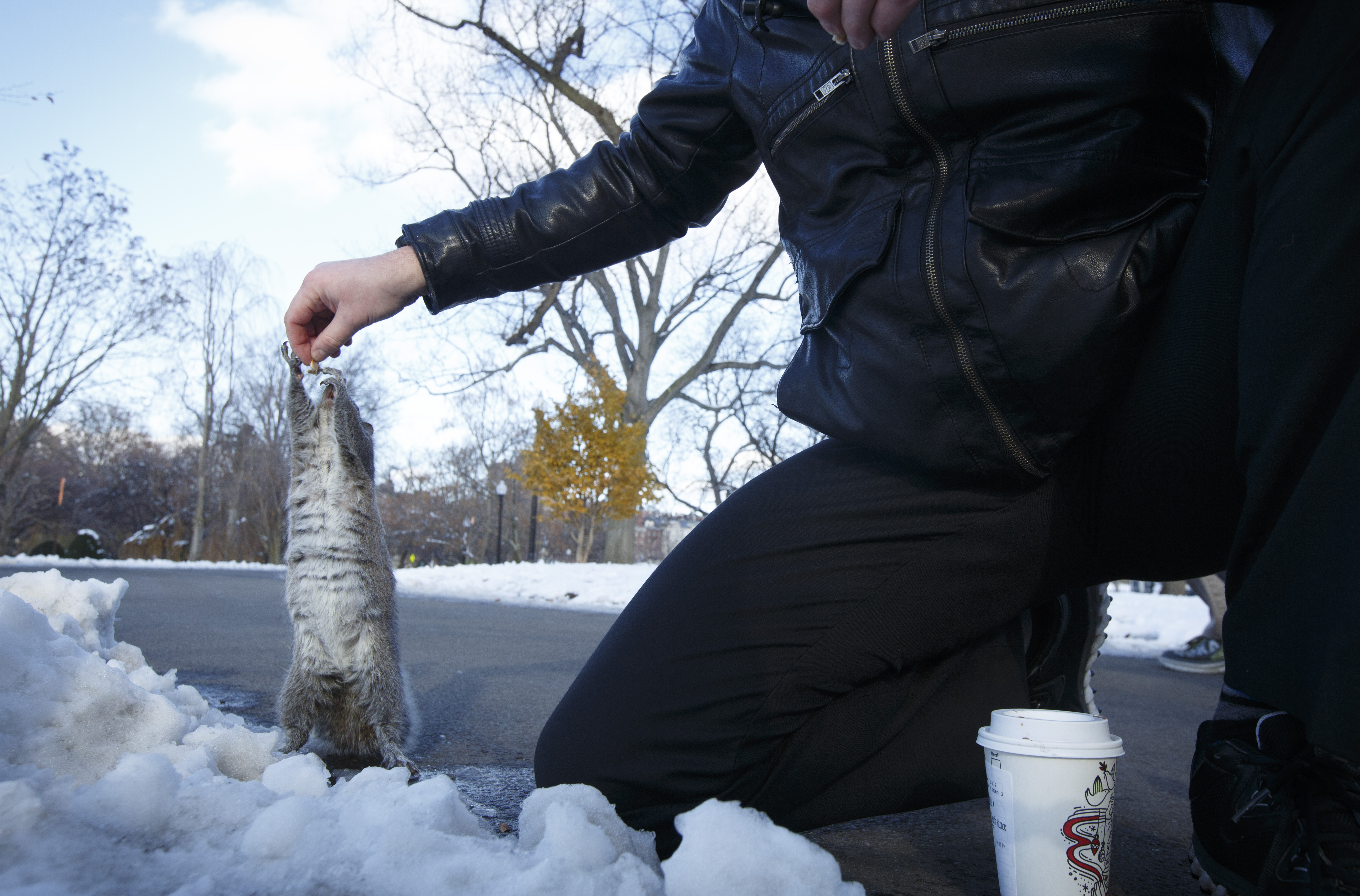 A squirrel stole a snack from Daniel Small in the Boston Public Garden.