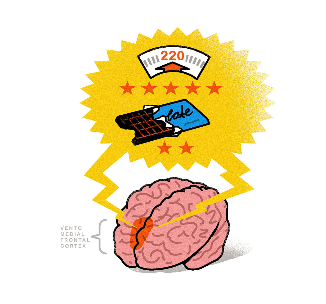 The brain’s ventromedial prefrontal cortex helps with goal planning and the making of longterm decisions. It holds memories of what type of person you believe yourself to be and helps you act like that person.