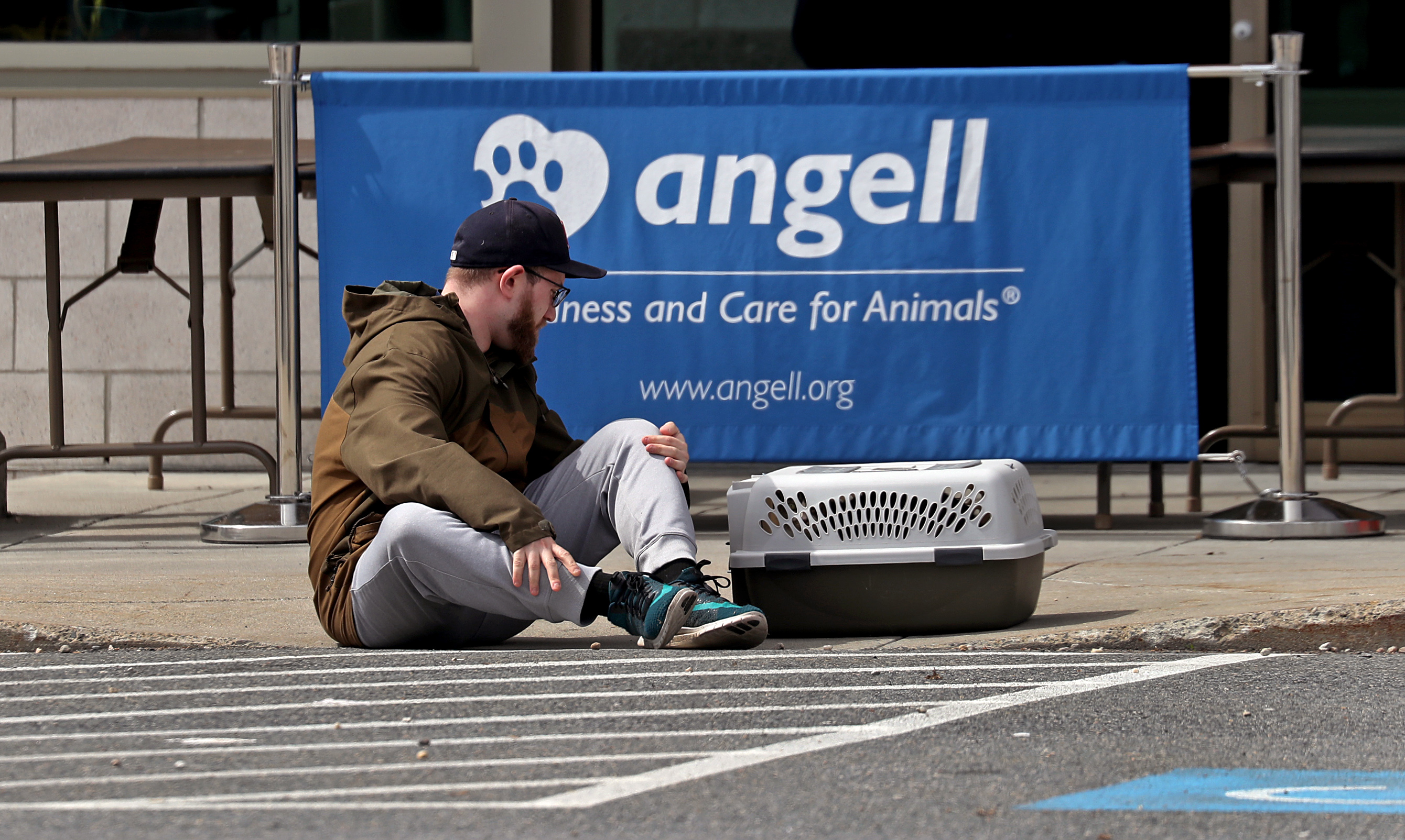 Caring for pets, veterinarians at MSPCA’s Angell hospital take extra