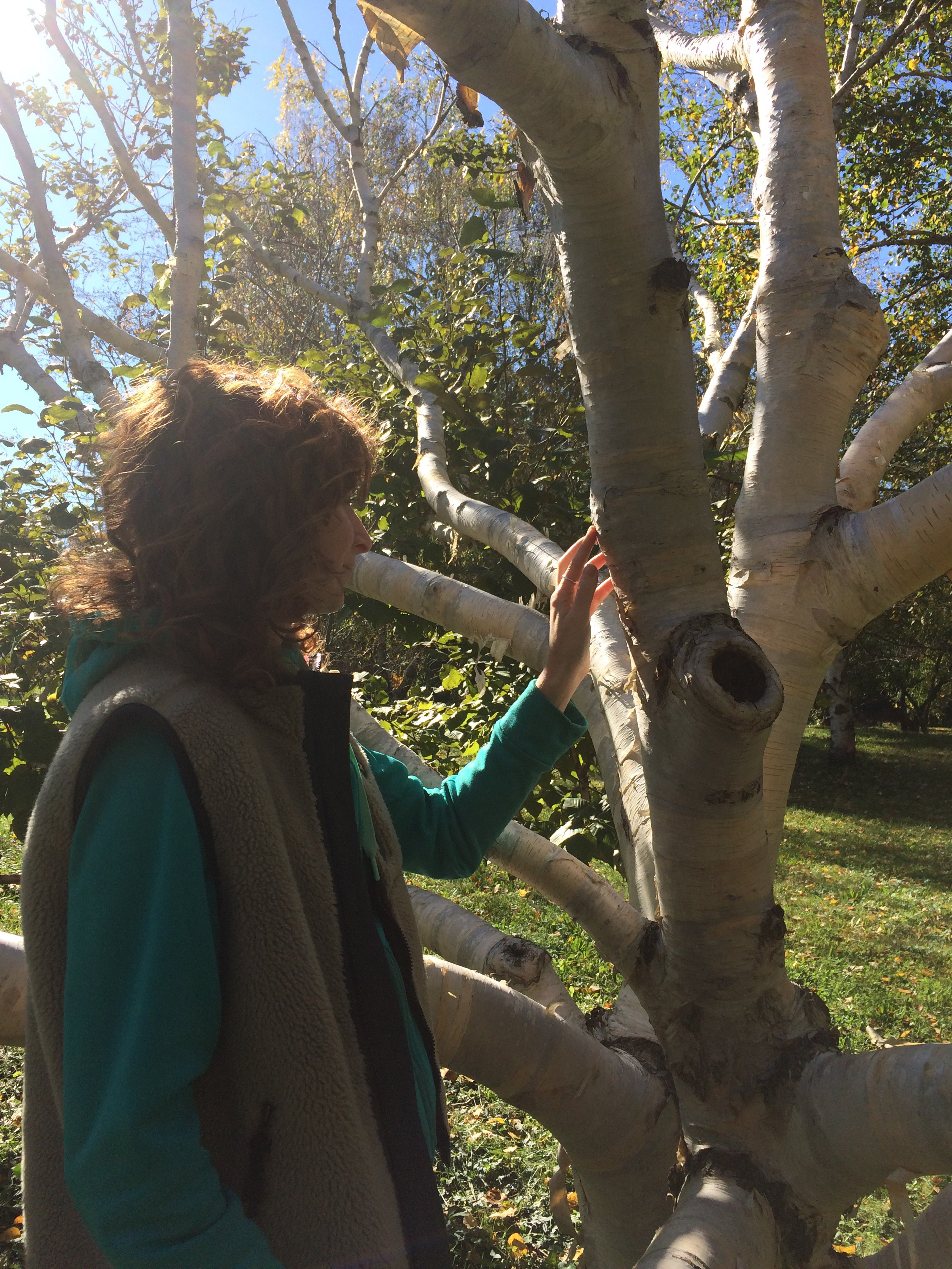 Scibelli engages with a tree from another angle.