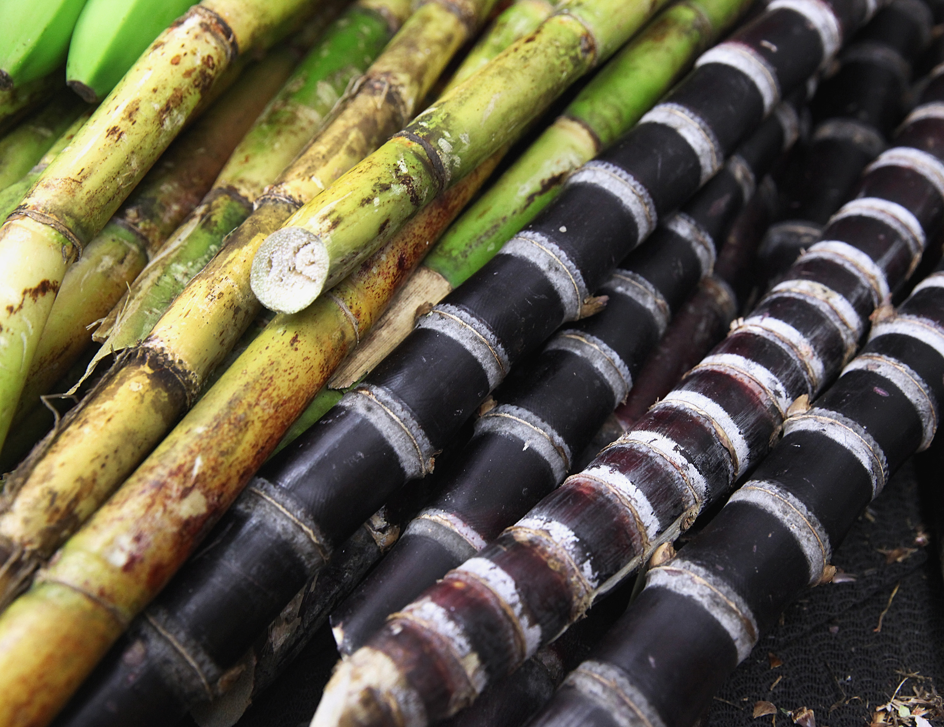 Tropical Foods boasts hard-to-find products such as sugarcane.