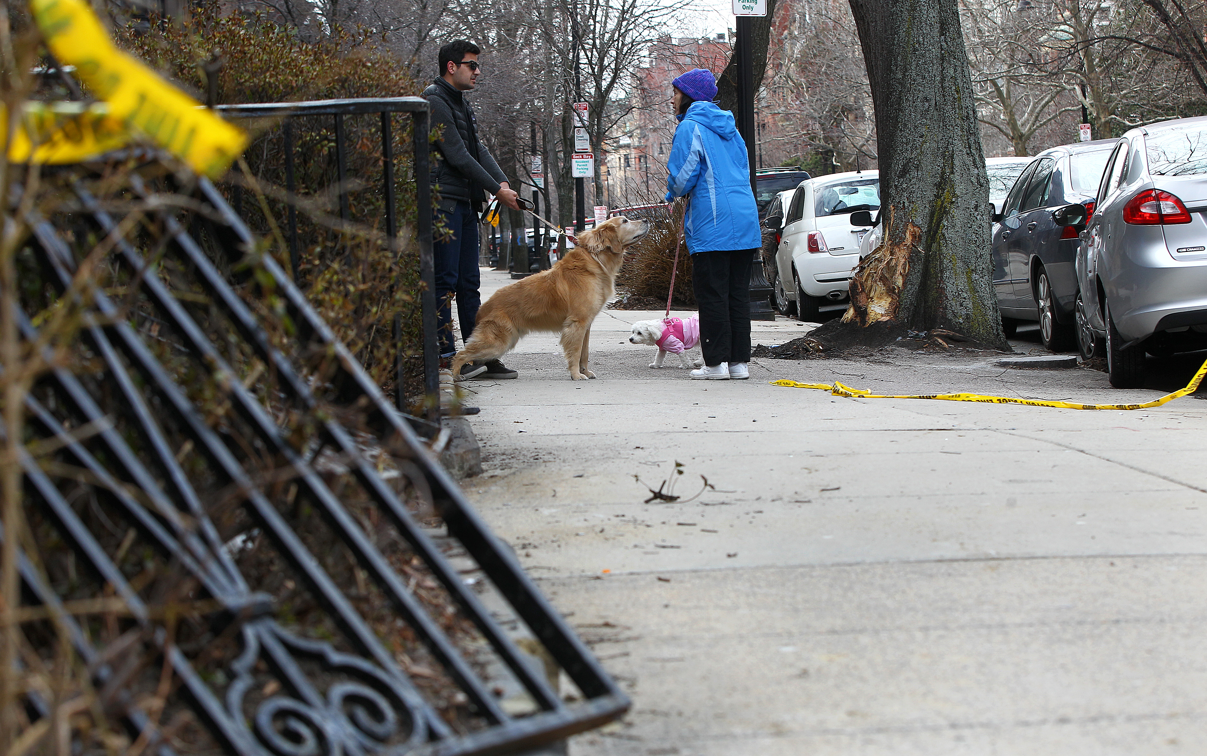 The aftermath of a Saturday night crash, at the intersection of Beacon and Exeter streets.