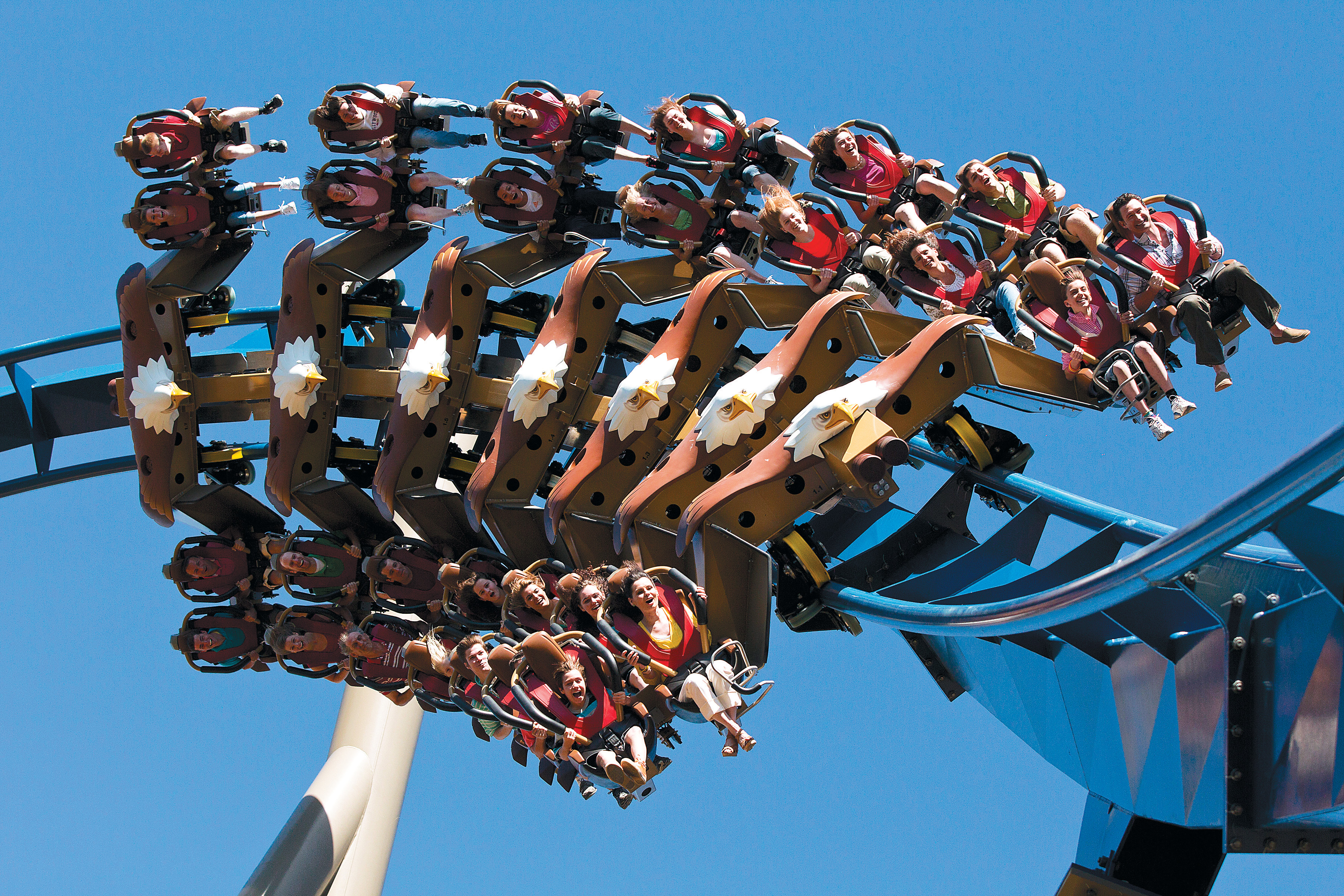 The Wild Eagle roller coaster.