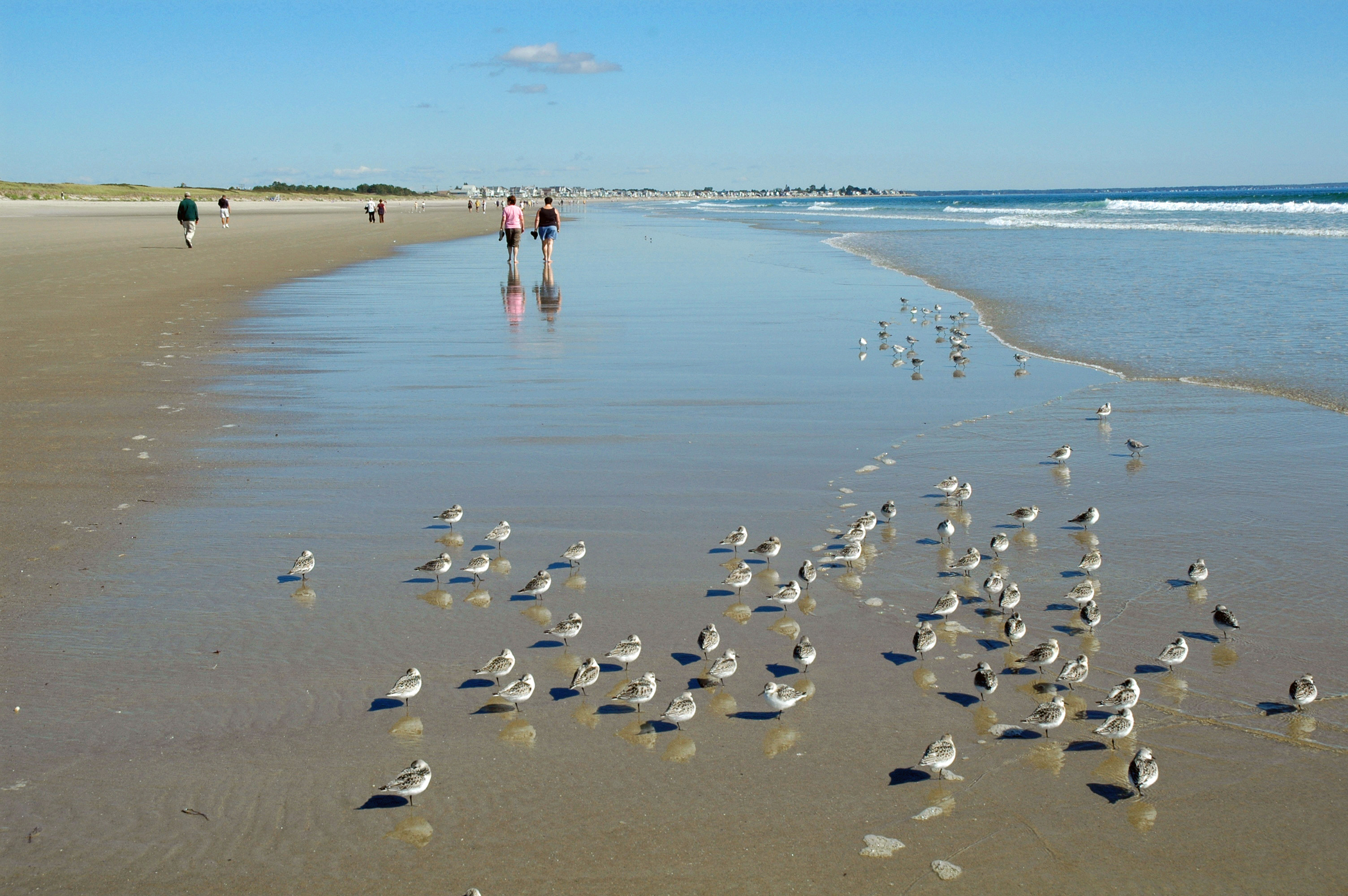 Ogunquit Beach in Maine was named one of the top 25 beaches in the U.S. by users of TripAdvisor.com.