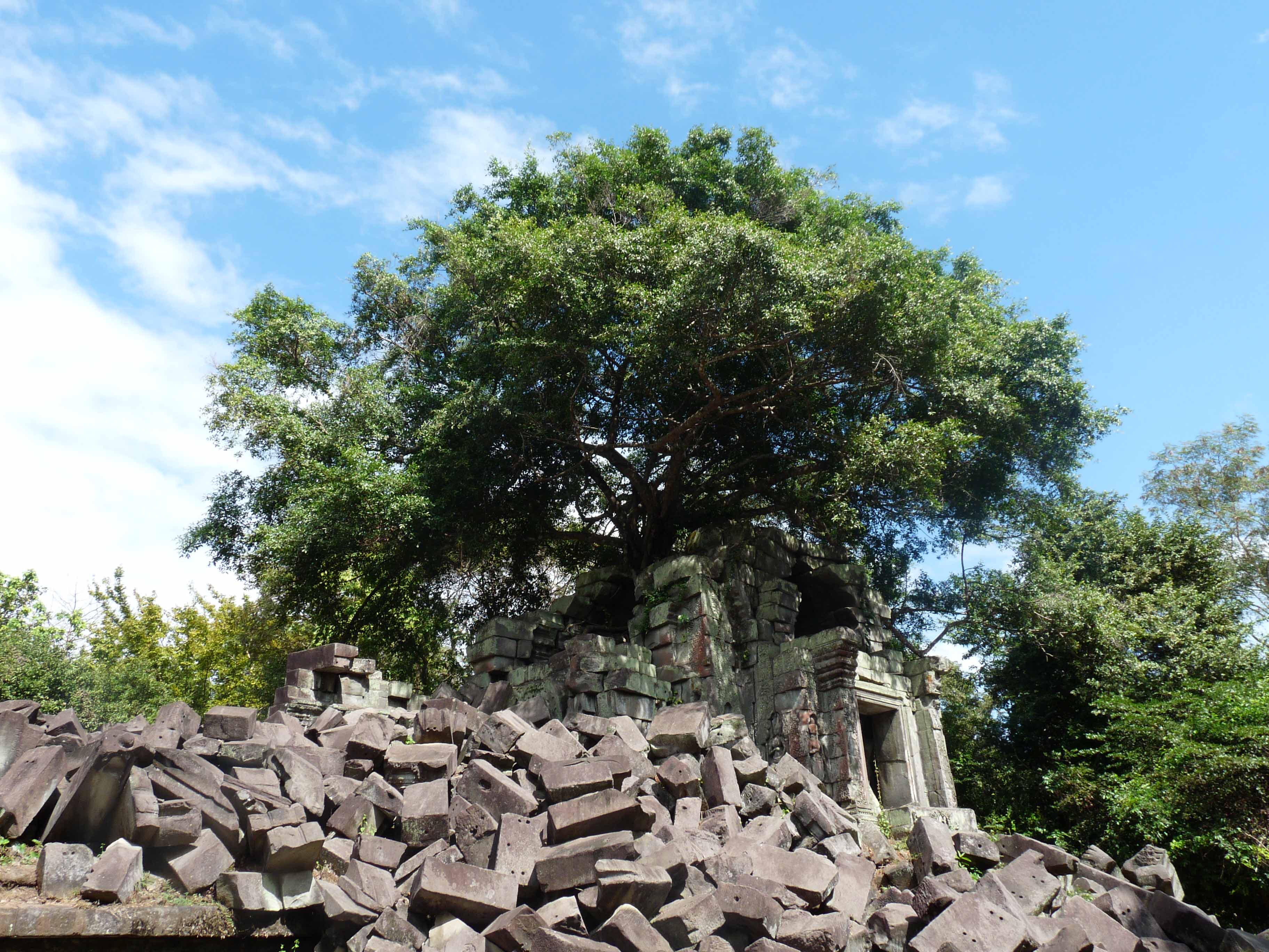 Beng Mealea is a precursor to the temples throughout the Angkor Wat complex.