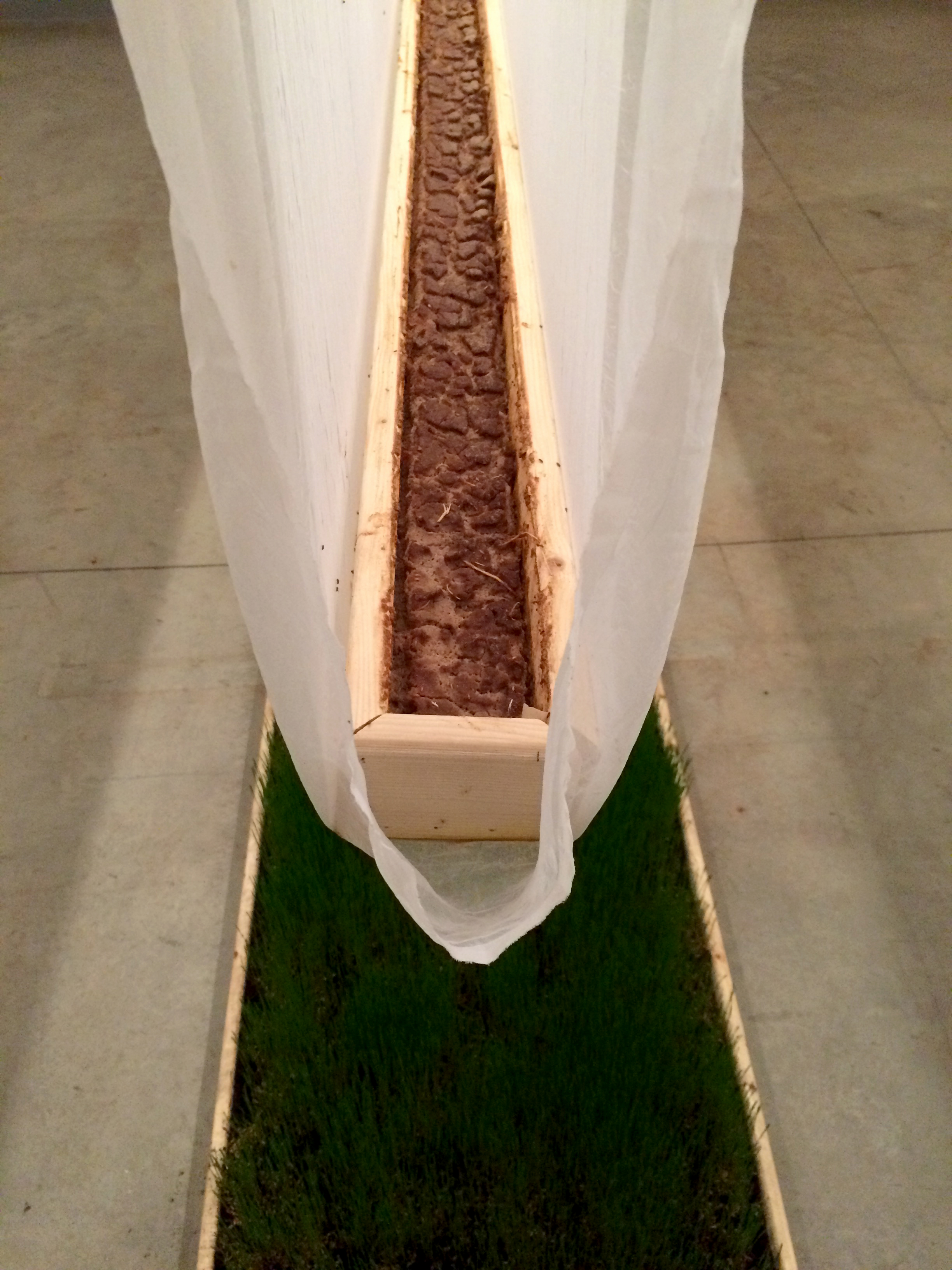 David Namhon Kim’s “Proliferation” at the Yellow Peril Gallery.