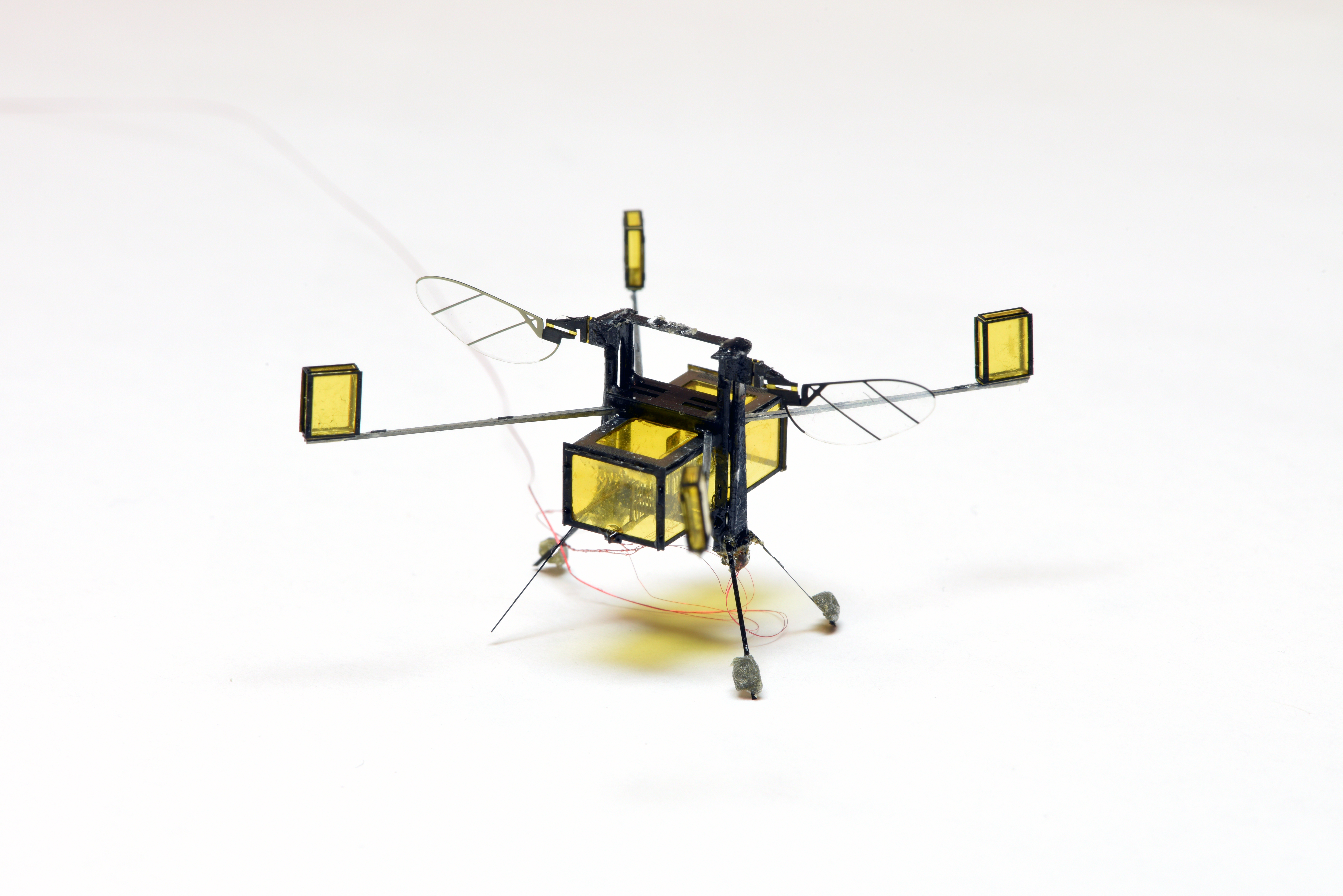 The Robobee.