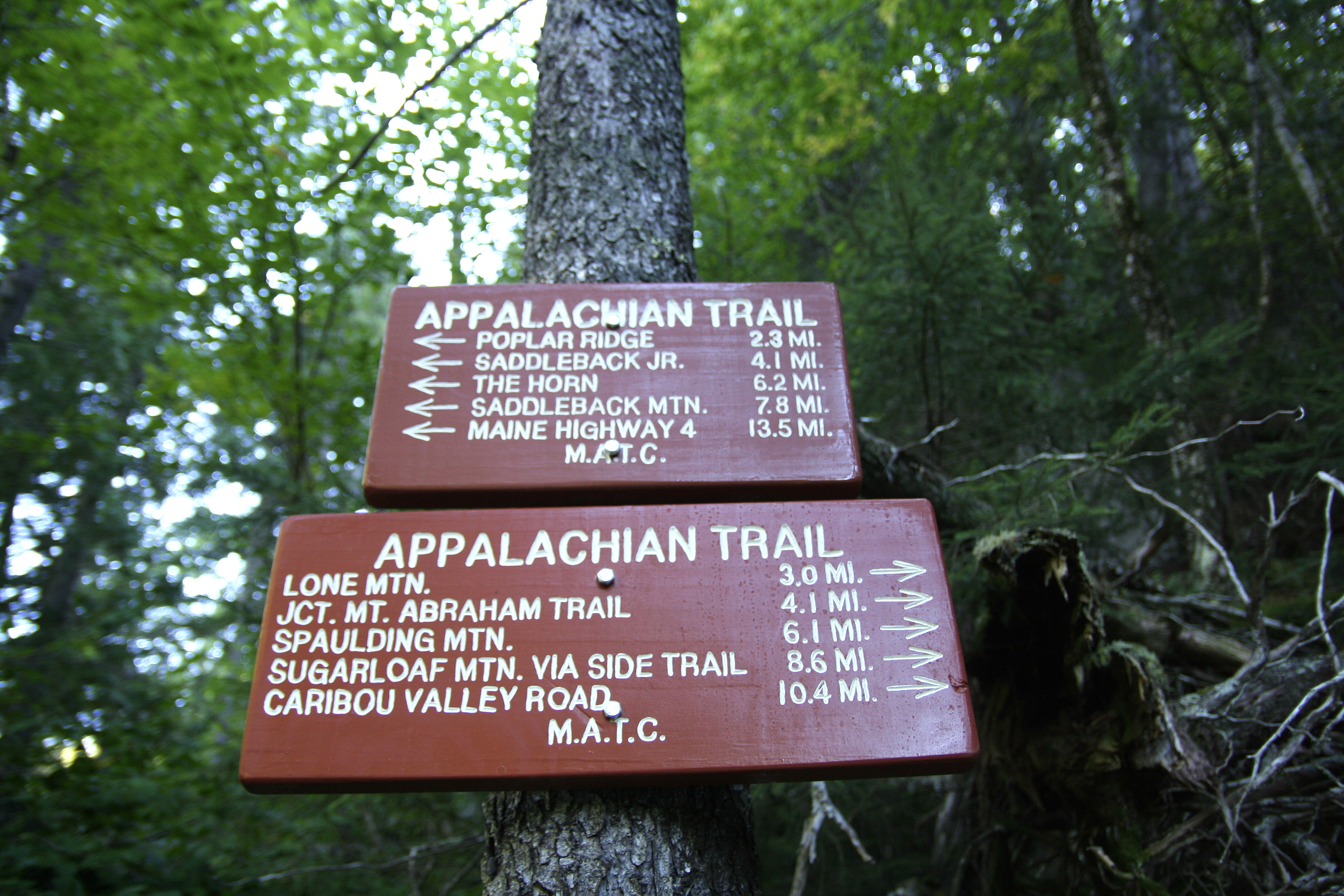Trail markers from the area where Gerry Largay disappeared.
