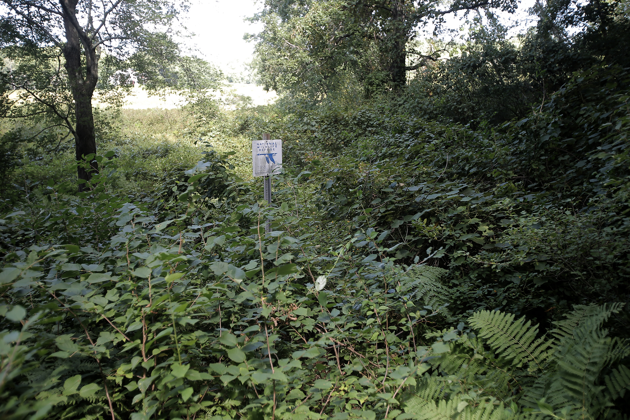 The property abuts the Great Meadows National Wildlife Refuge.