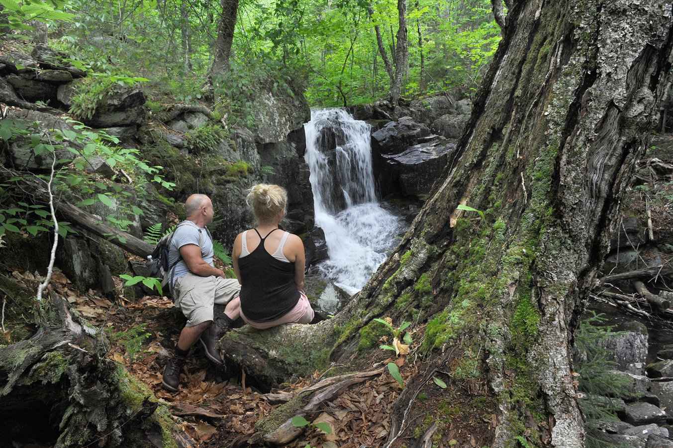 Bruce Linehan and his fiancée, Jenn Hogg, paused at Goodell Brook Falls in Monson, near the Appalachian Trail.