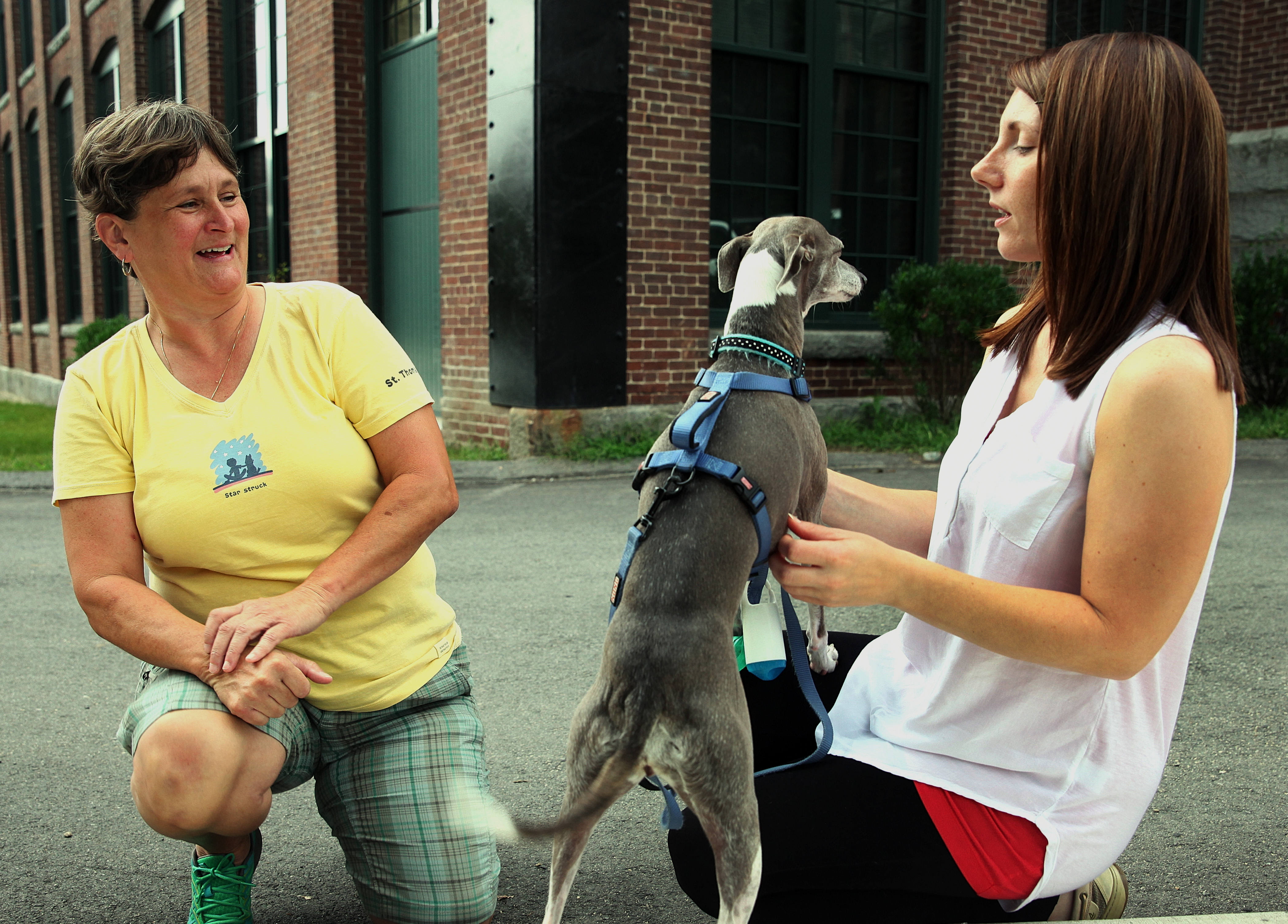 Erika Kauffeld (right), with Midge, talks with Mary McConnell at Abbot Mill.