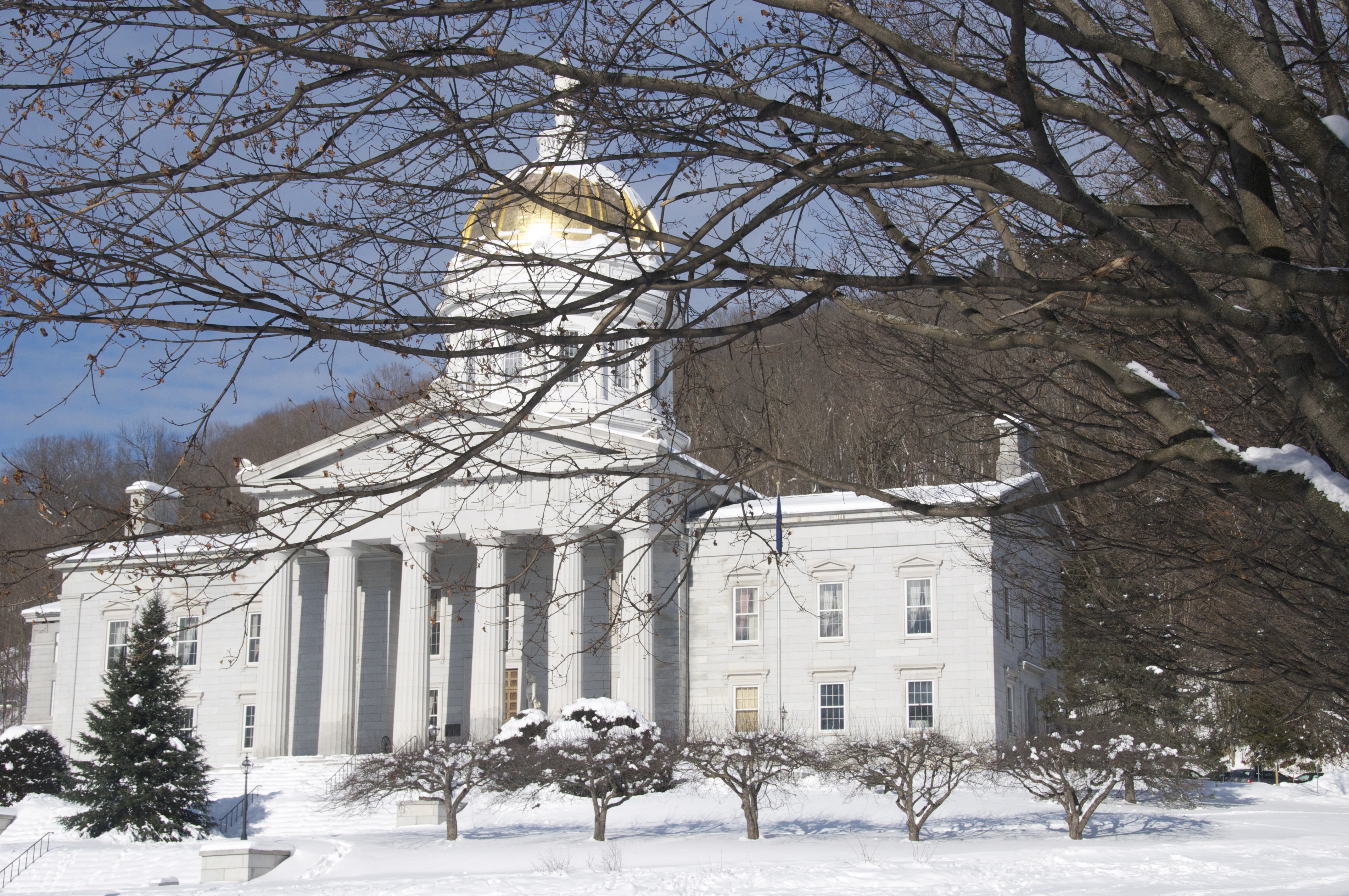 Vermont’s state house welcomes visitors, who stop by to see its historic paintings and furnishings.