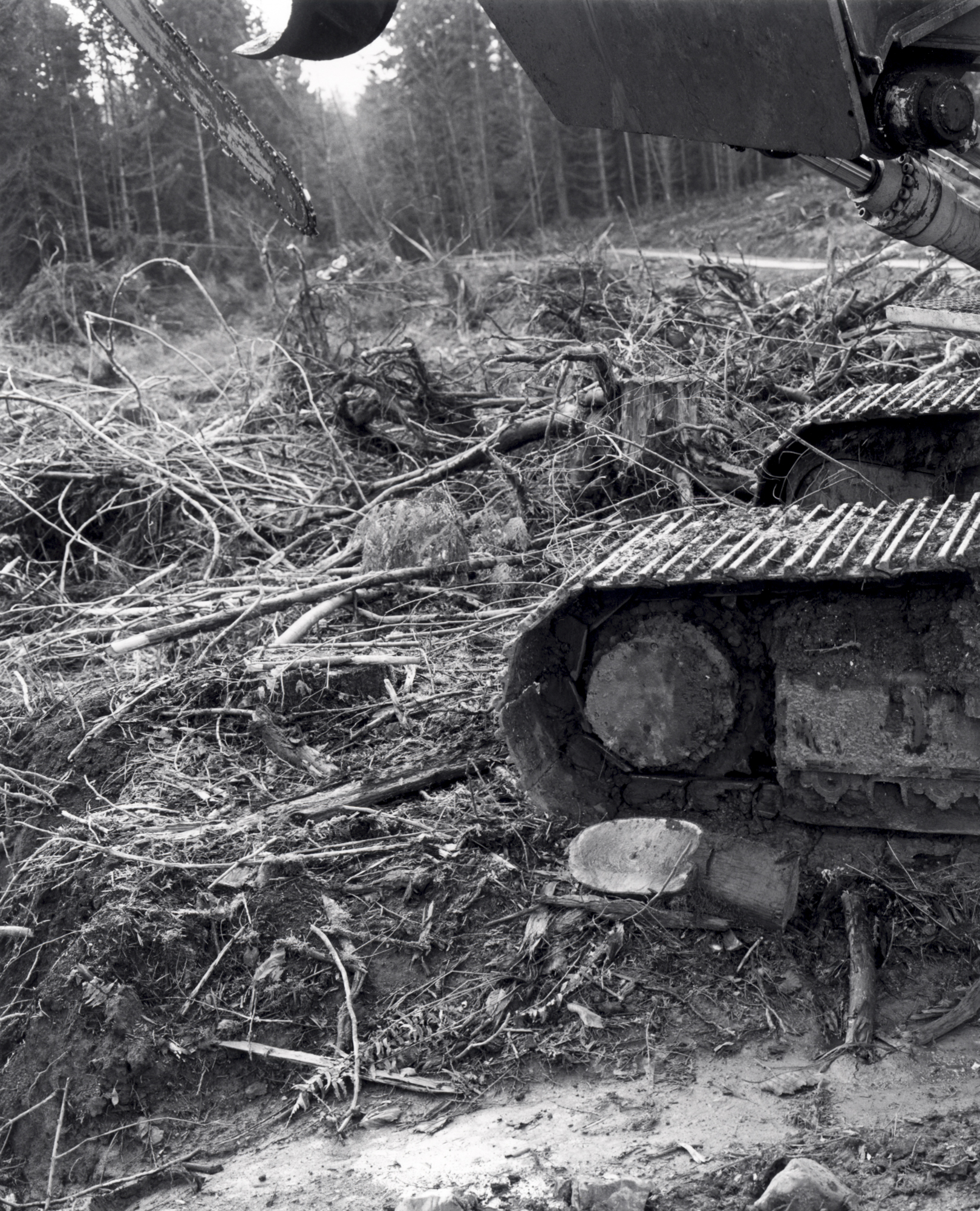 “A machine for stripping the limbs from immature trees.”