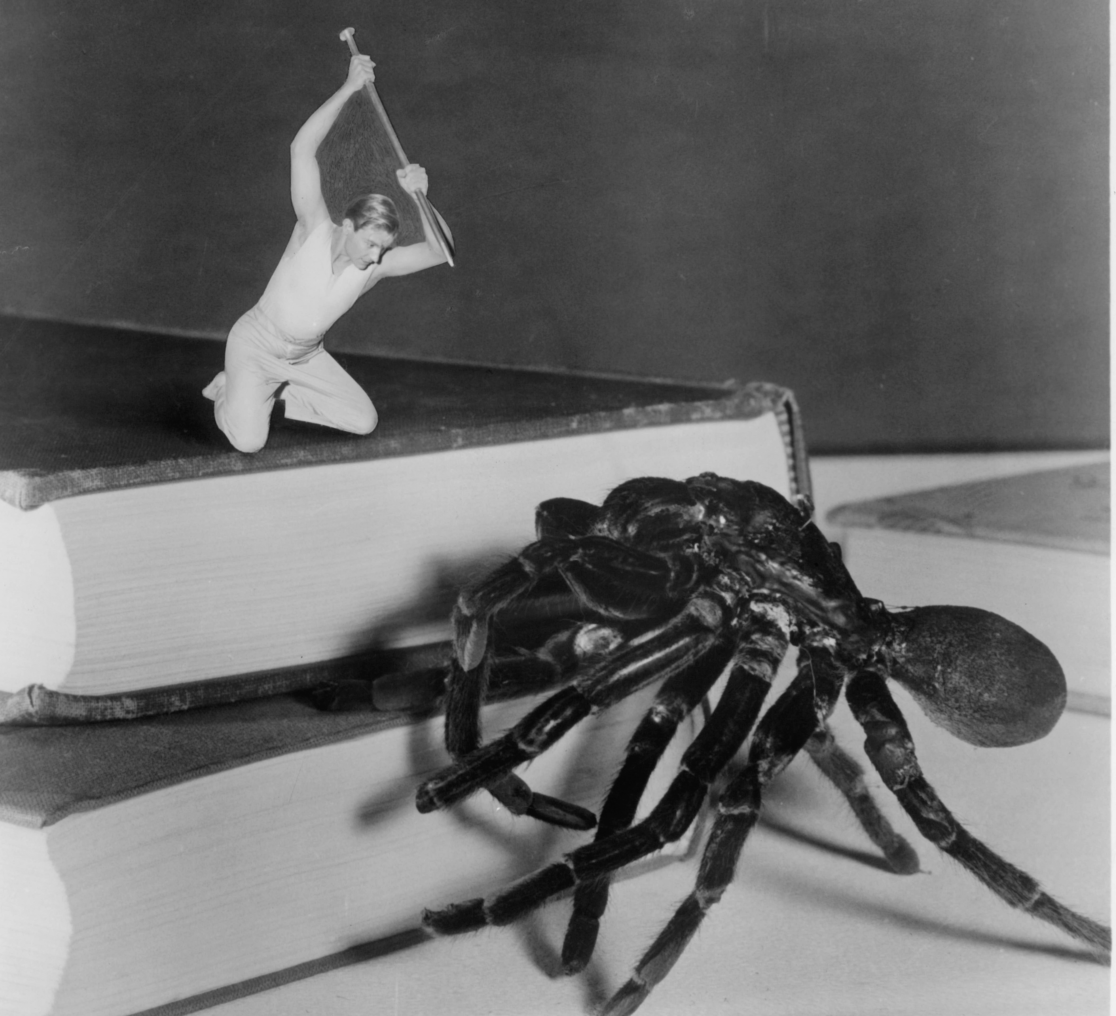 The Incredible Shrinking Man takes on a spider.