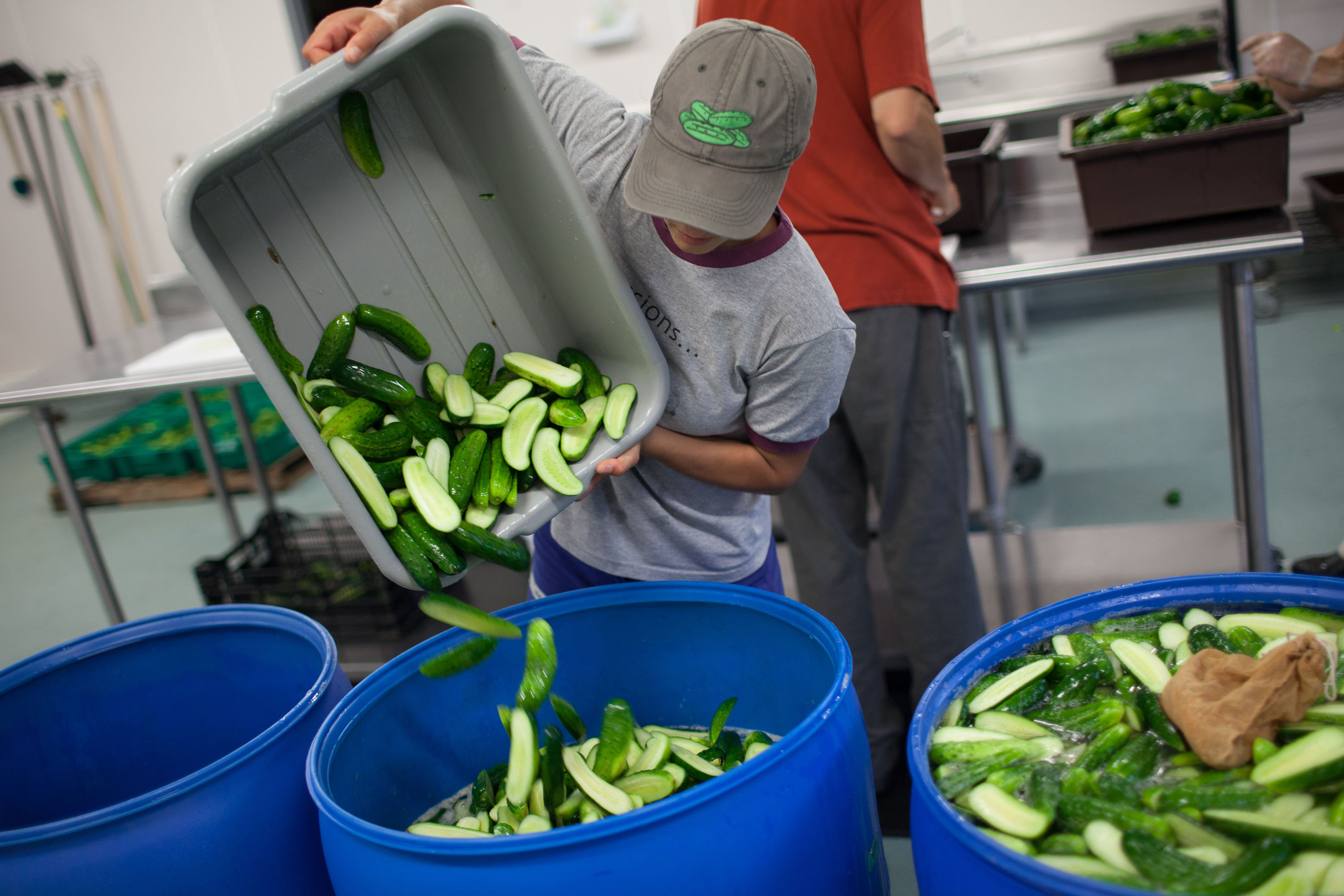 Pickle maker Rebecca Lay pours freshly cleaned and cut organic cucumbers into a drum for fermenting at Real Pickles in Greenfield.