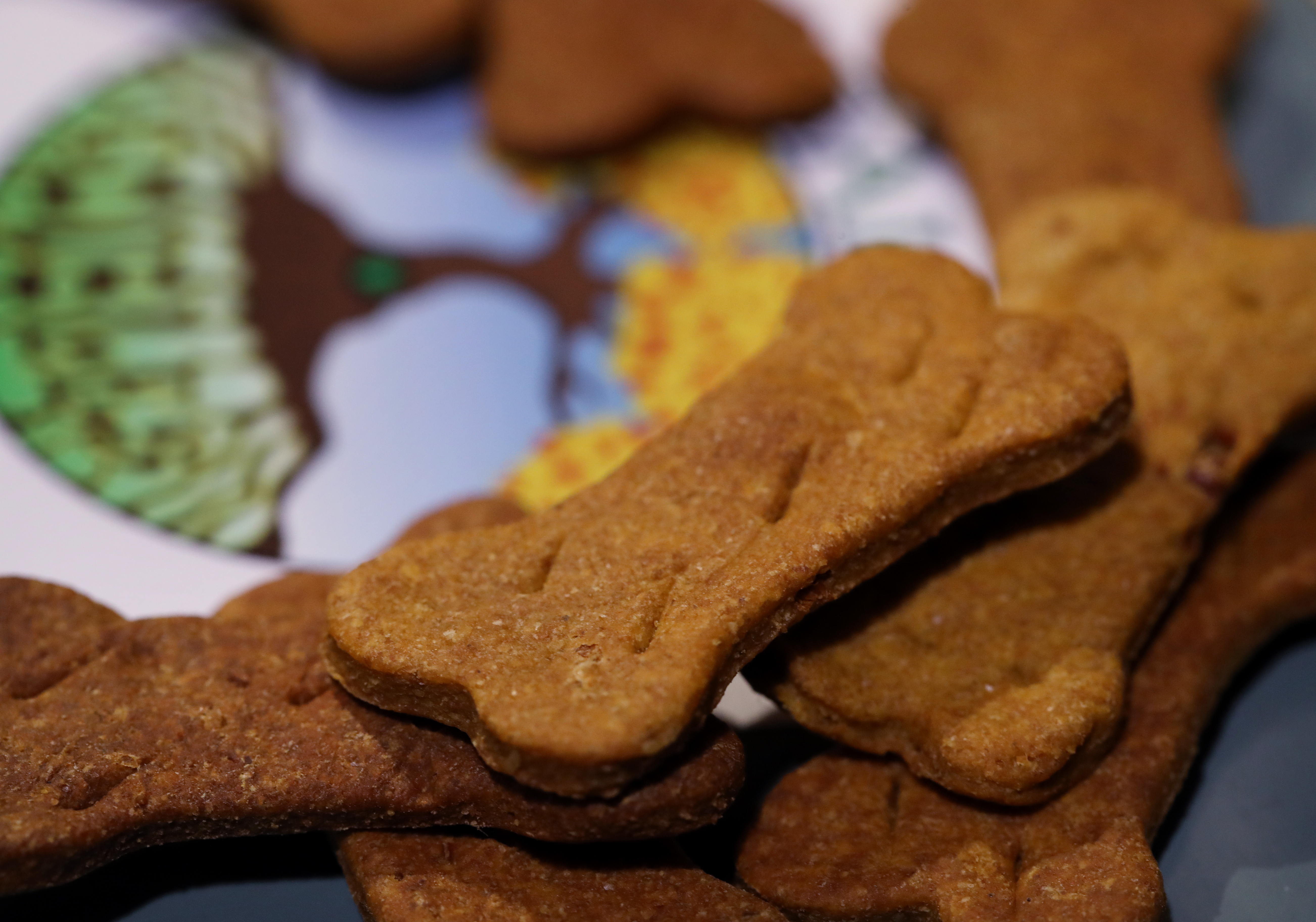Organic CBD infused gluten free dog treats by Healing Tree Edibles displayed at the New England Cannabis Convention at the Hynes Convention Center on March 22.