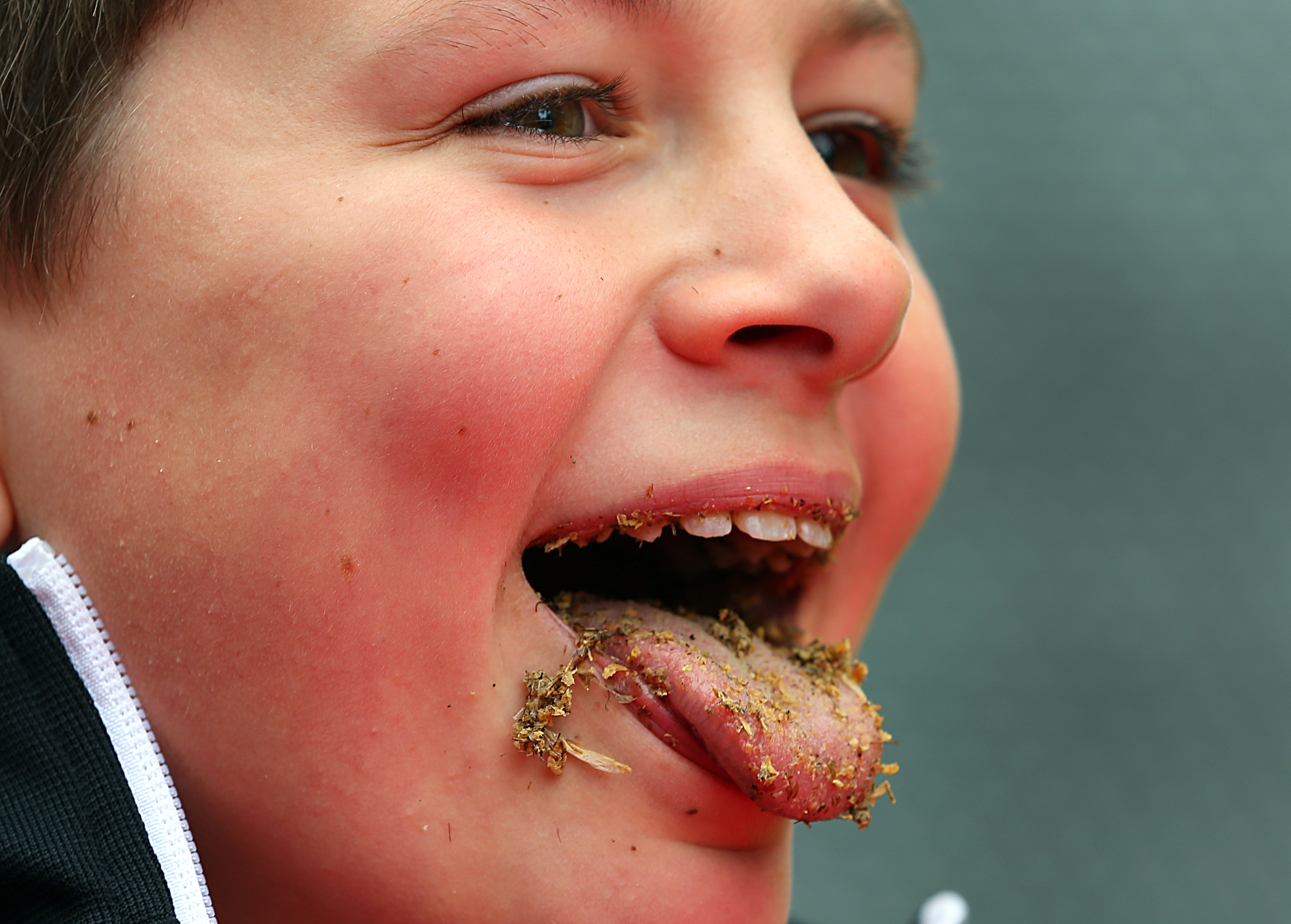 Logan Jacobson, 11, from Festus Mo., was the winner of the cricket eating competition.