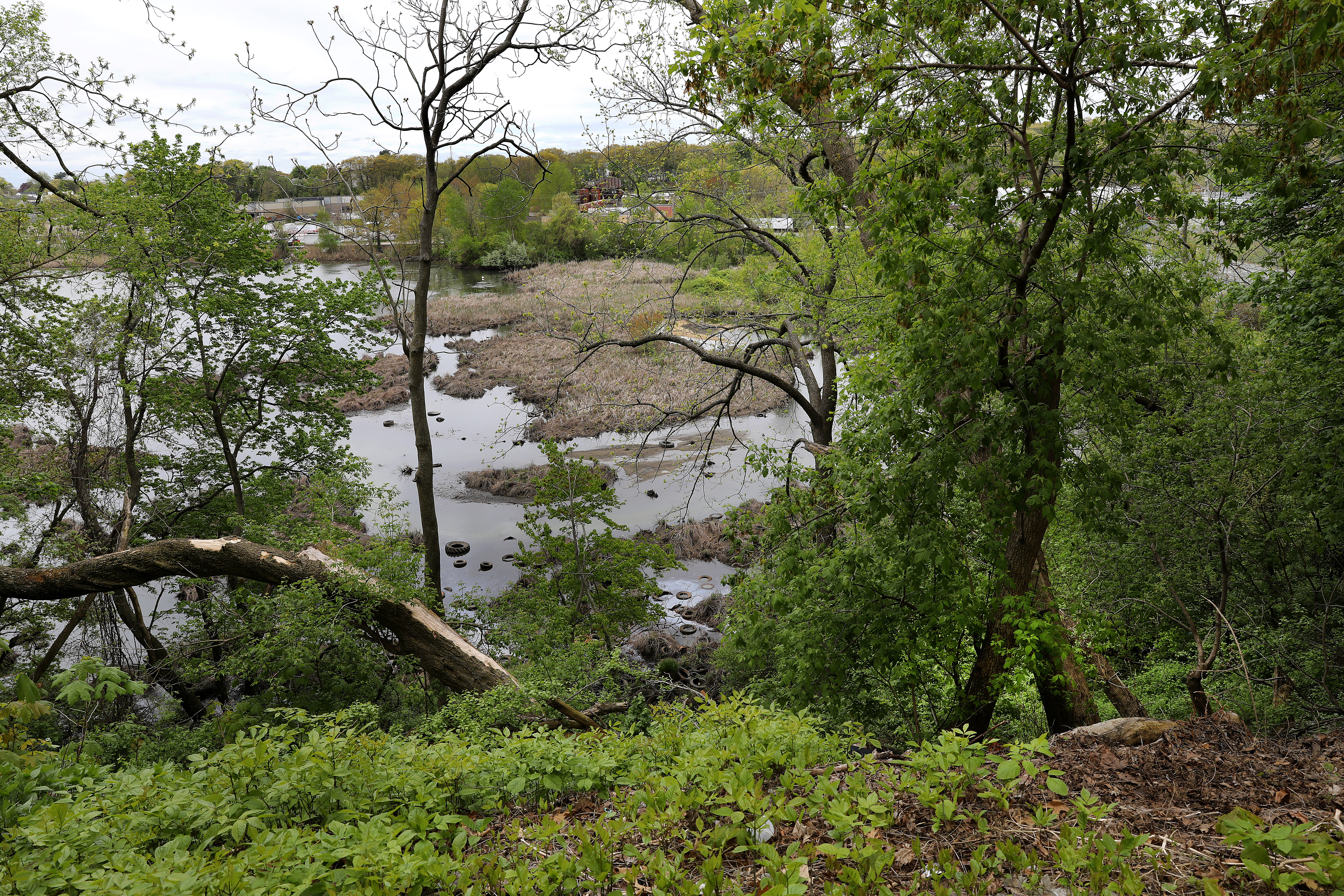 The body of Michelle Norris was found in this wooded area, not far from the playground from which she went missing two days earlier,