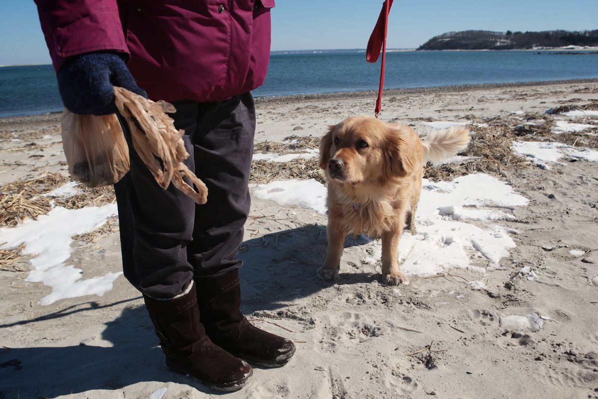 Sandy Jackson, walking her dog Tilly, says cleaning up is no big deal. “It’s easy, I carry plastic bags,” said Jackson.