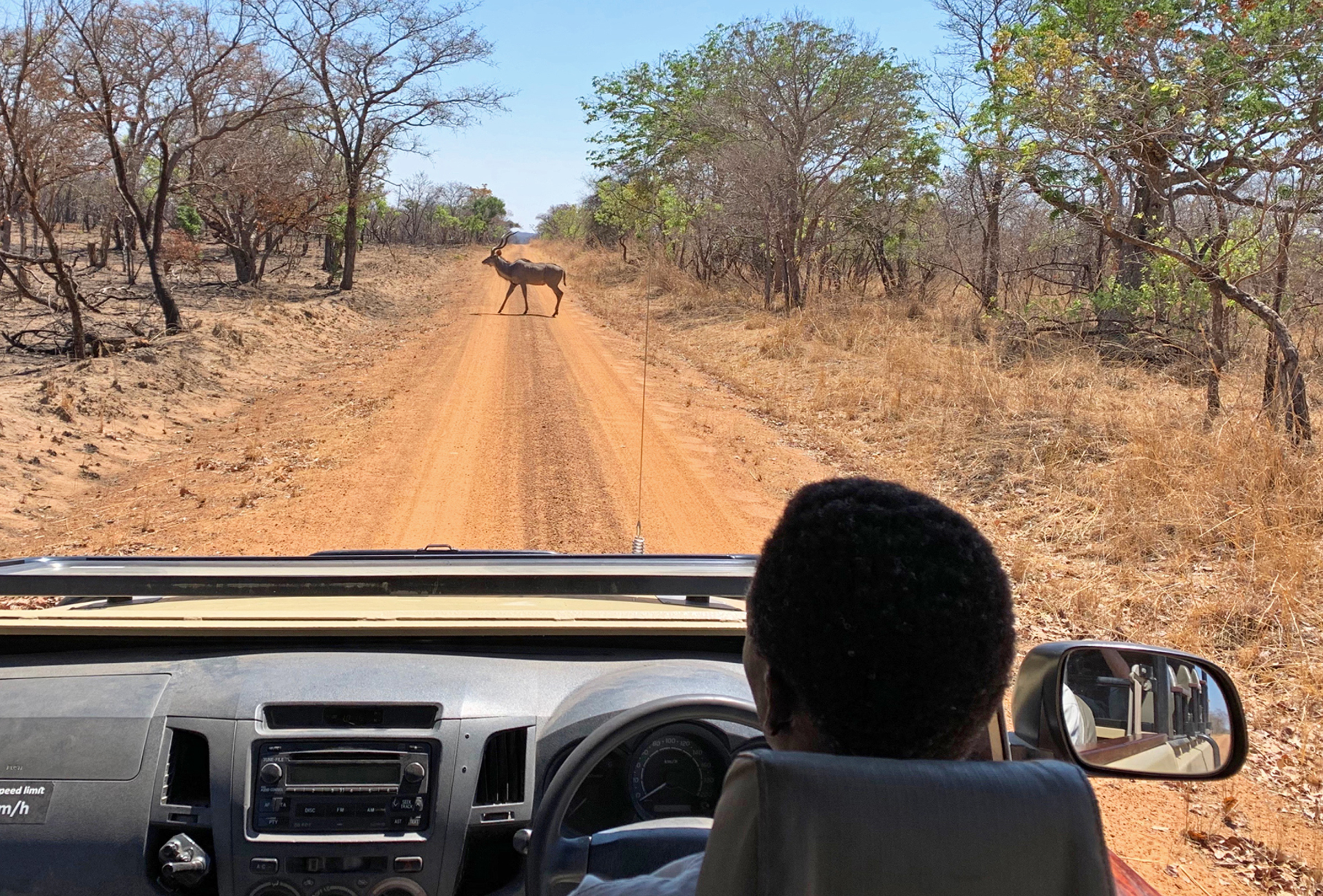 John Deere at the wheel of a Land Rover during an afternoon game drive.